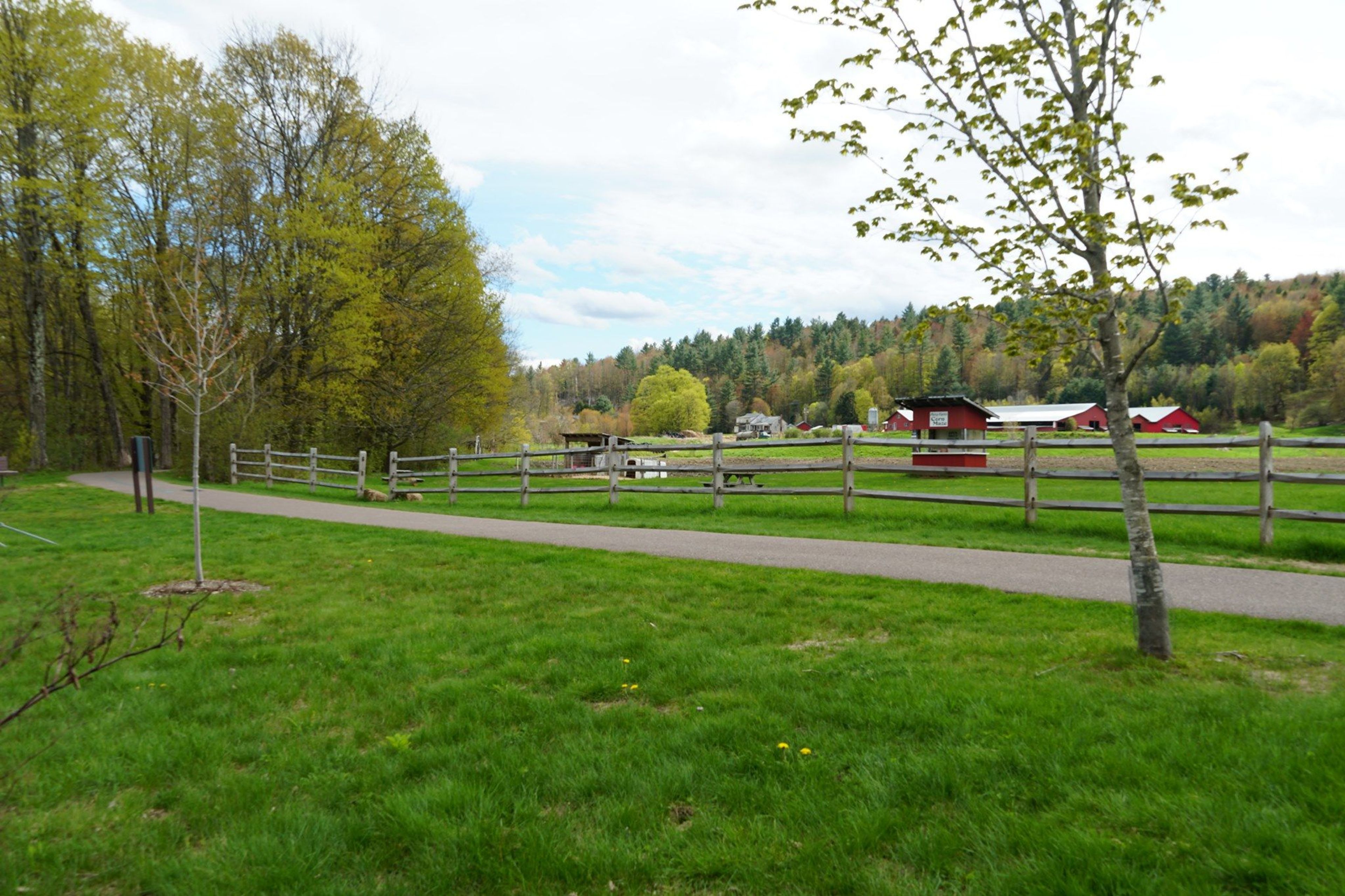 Scenery along the path. Photo by Stowe Area Association.