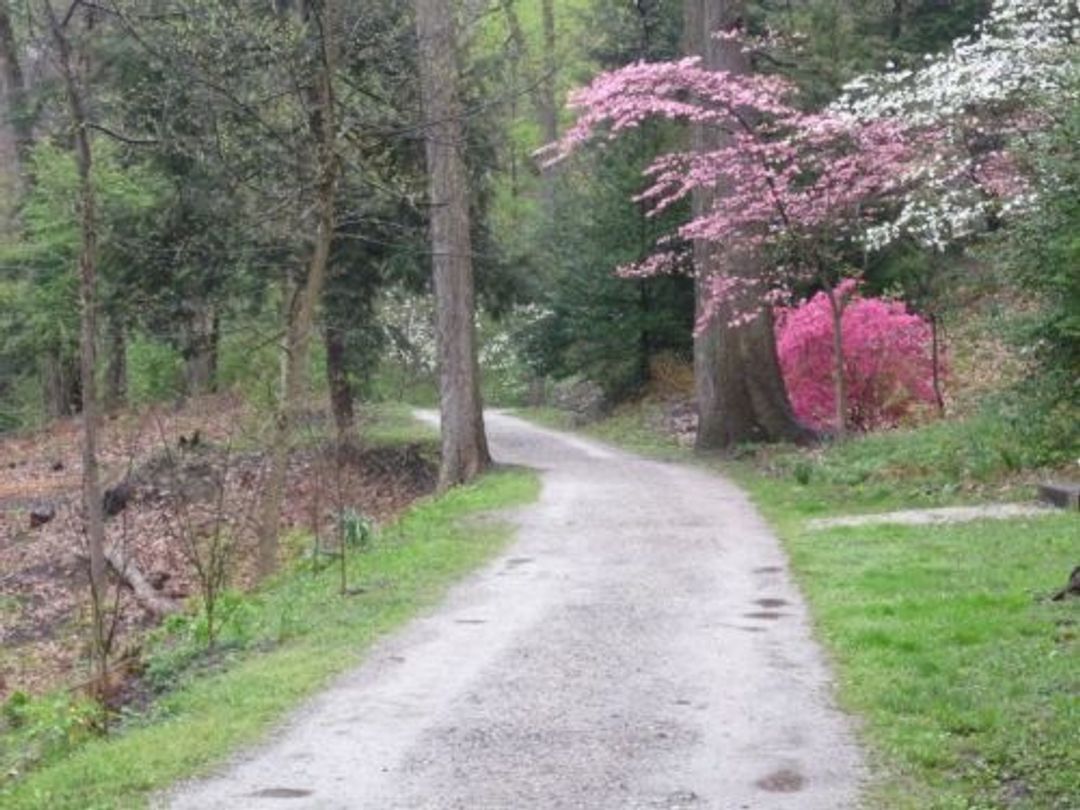 Section of Carriage Trail in Spring