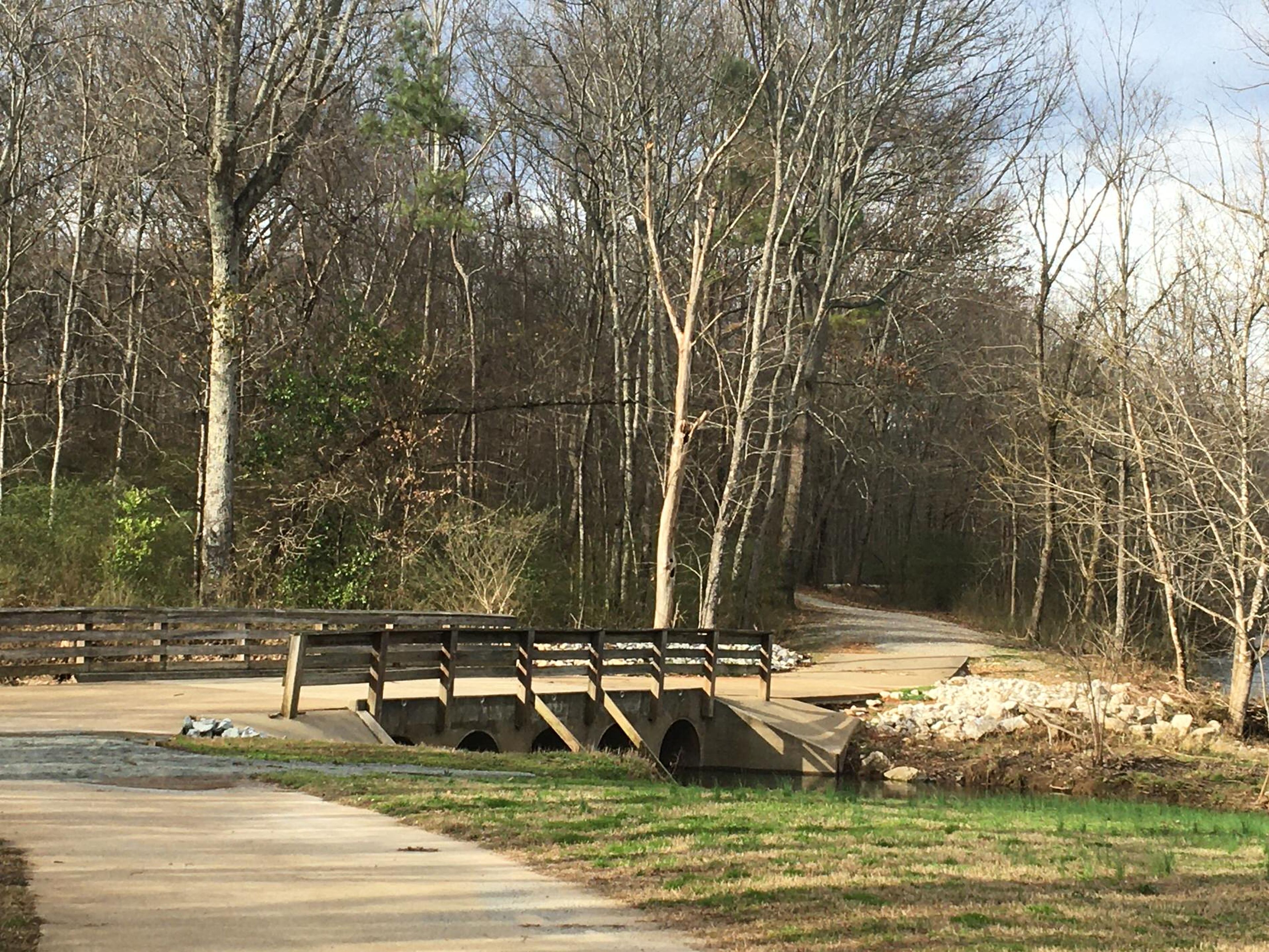 Trail crossing over Big Spring. Photo by Donna Kridelbaugh.