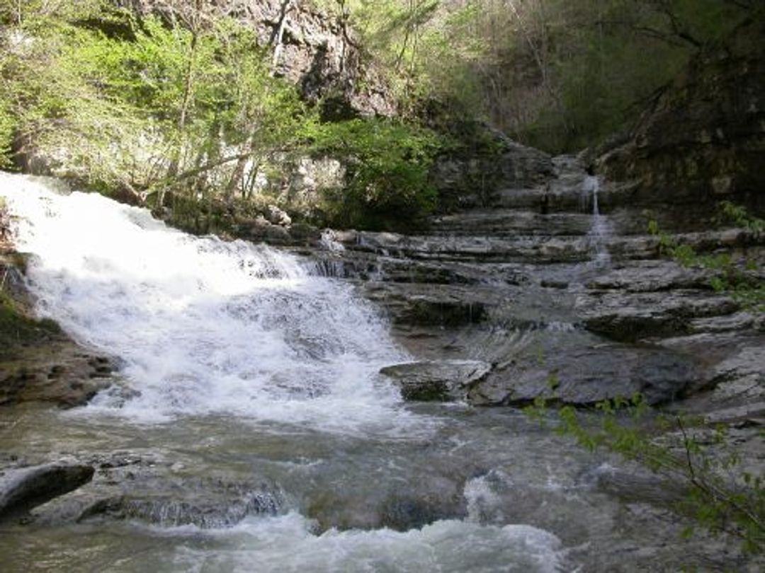 Headwaters of the Paint Rock River (Turkey Creek)