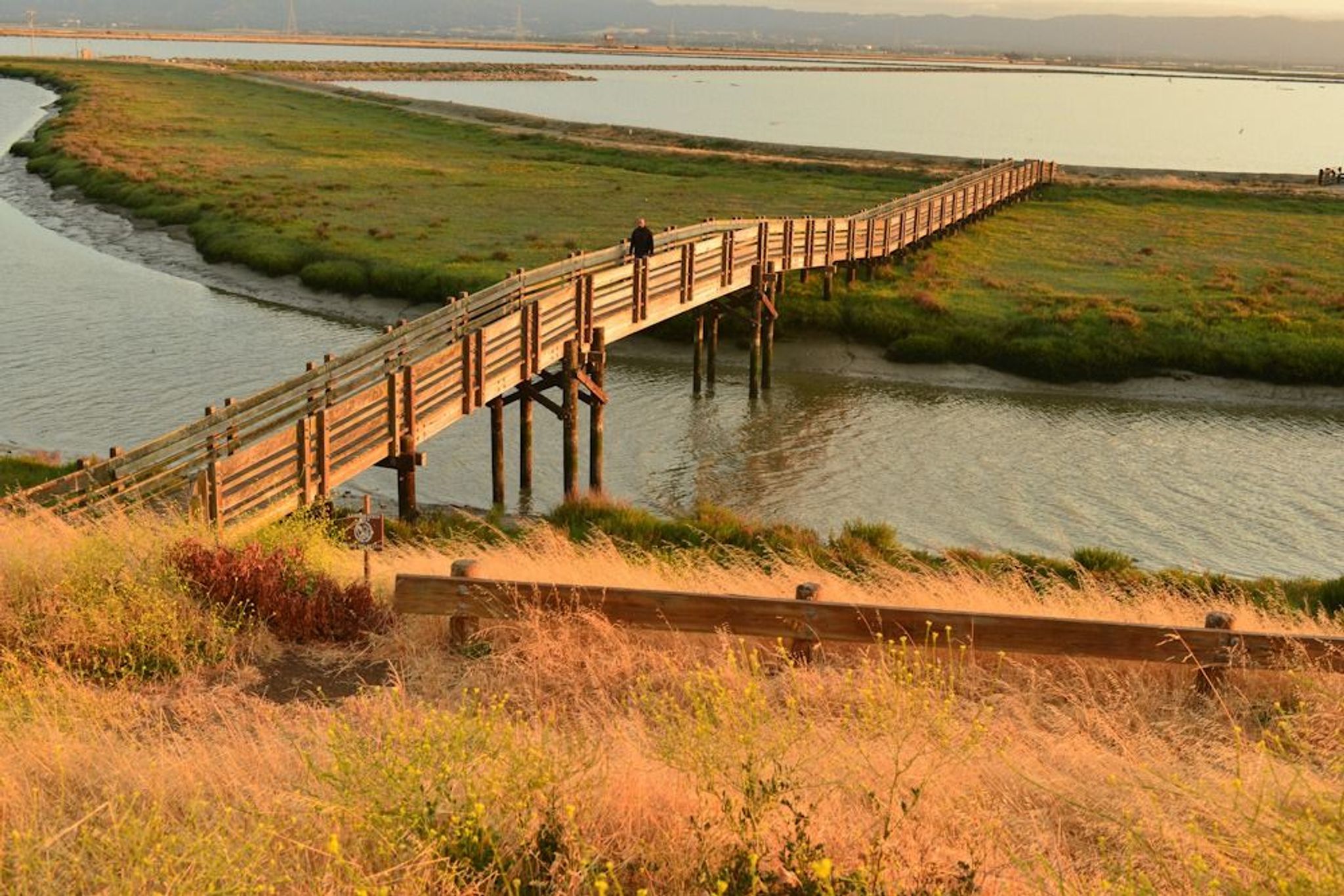 Tidelands Trail in SF Bay NWR. Photo by Ambarish Goswami.