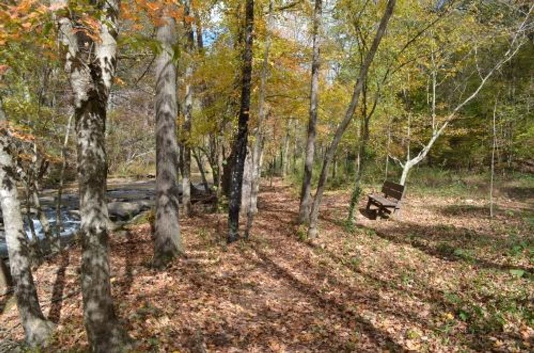 The Eagle Scout Trail at Turkey Creek