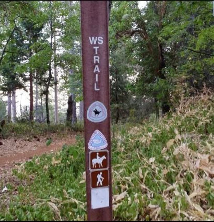 Trail marker.