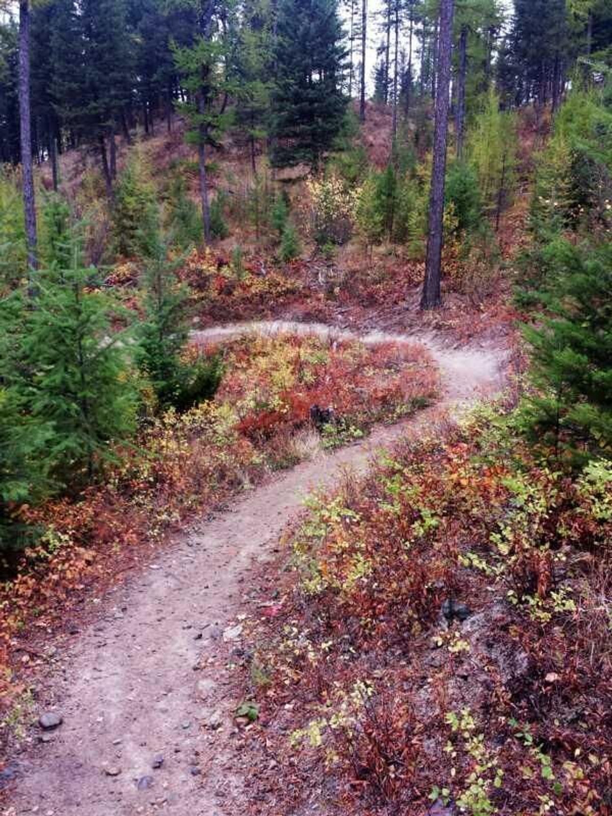 Switchbacks up to the overlook. Photo by Singletracks/Kenneth&Deborah.