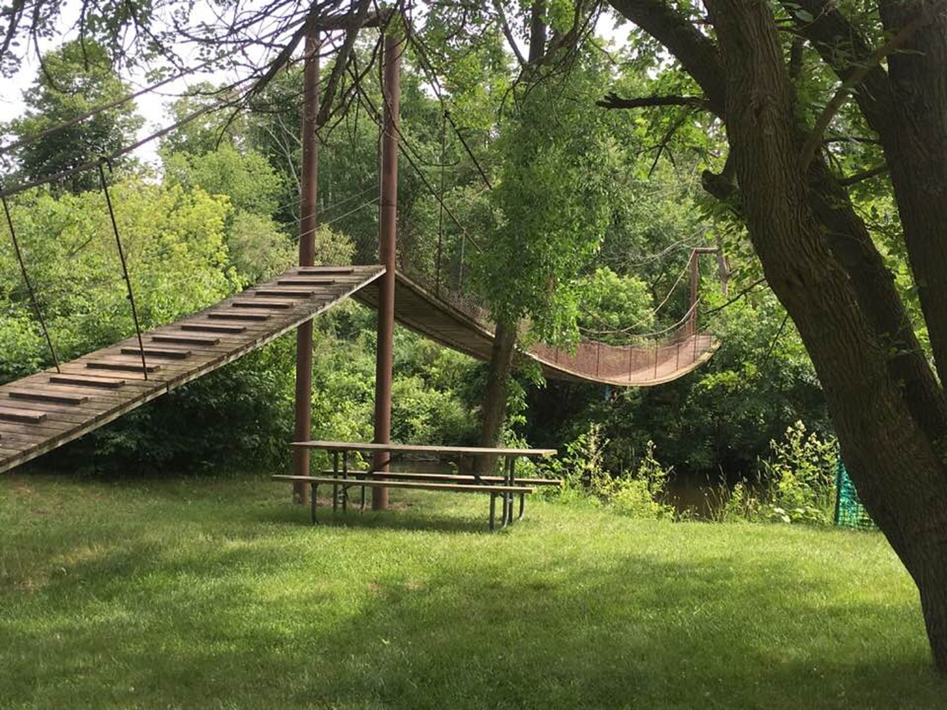 Swinging Bridge at Deerfield Nature Park. Photo by Carol Cushman.