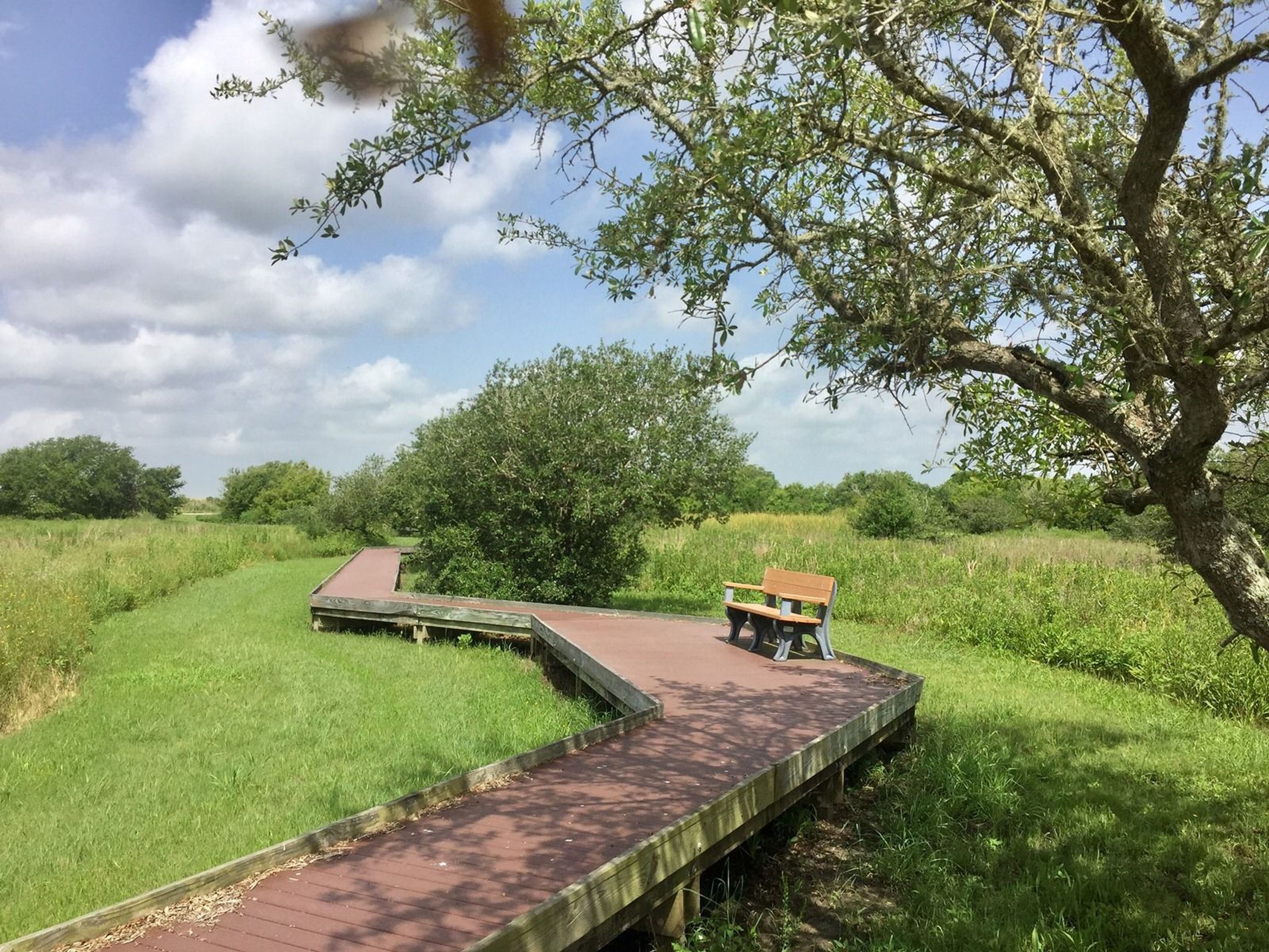 Viewing bench. Photo by Anahuac NWR.