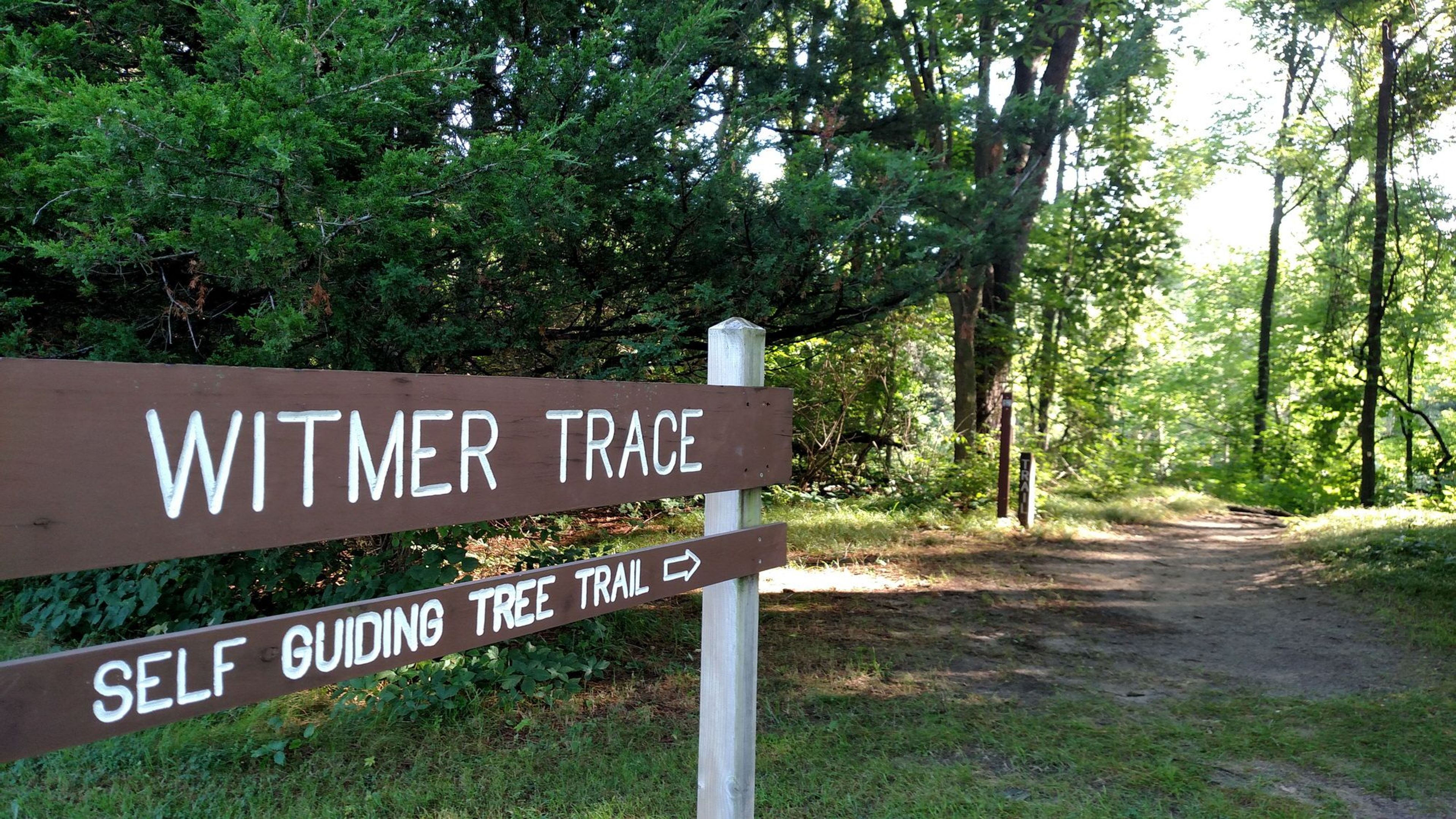 Witmer Trace Self Guiding Tree Trail. Photo by Ronda DeCaire.