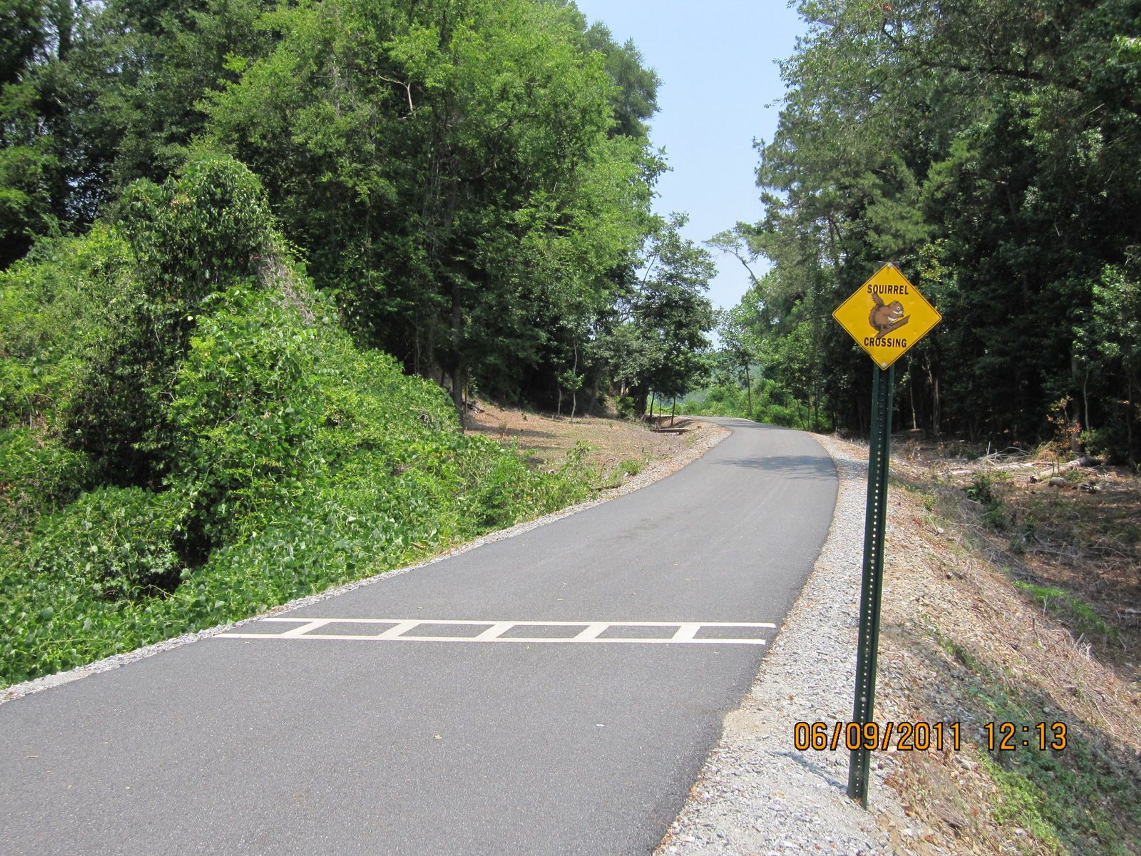 Squirrel crossing!. Photo by Rob Grant.