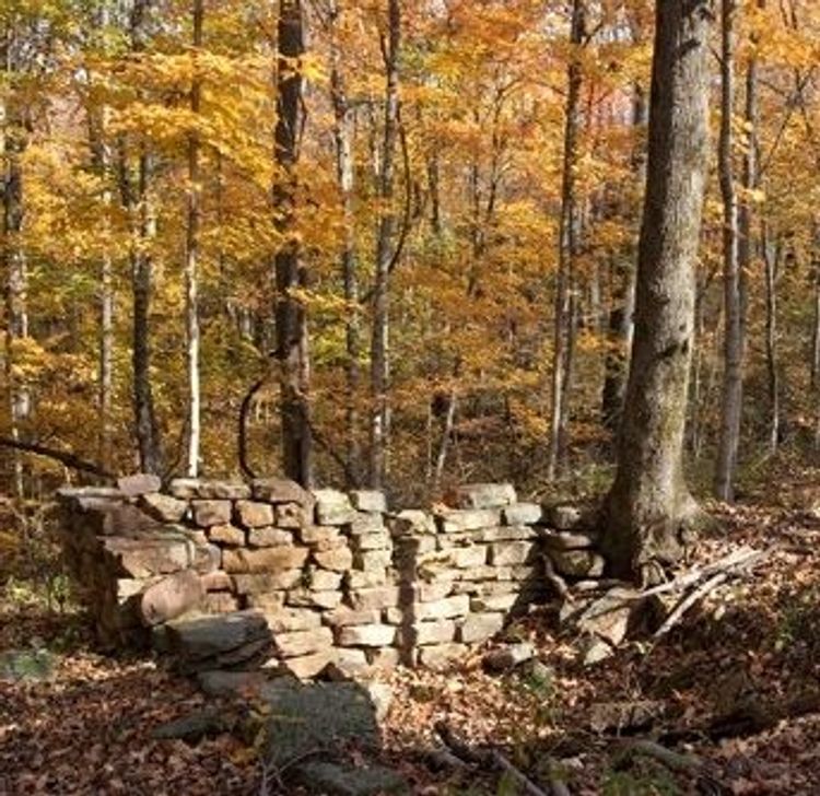 The Adventure Hiking Trail offers a bit of pioneer history, passing the remains of old homesteads. Photo by Pete Banta.