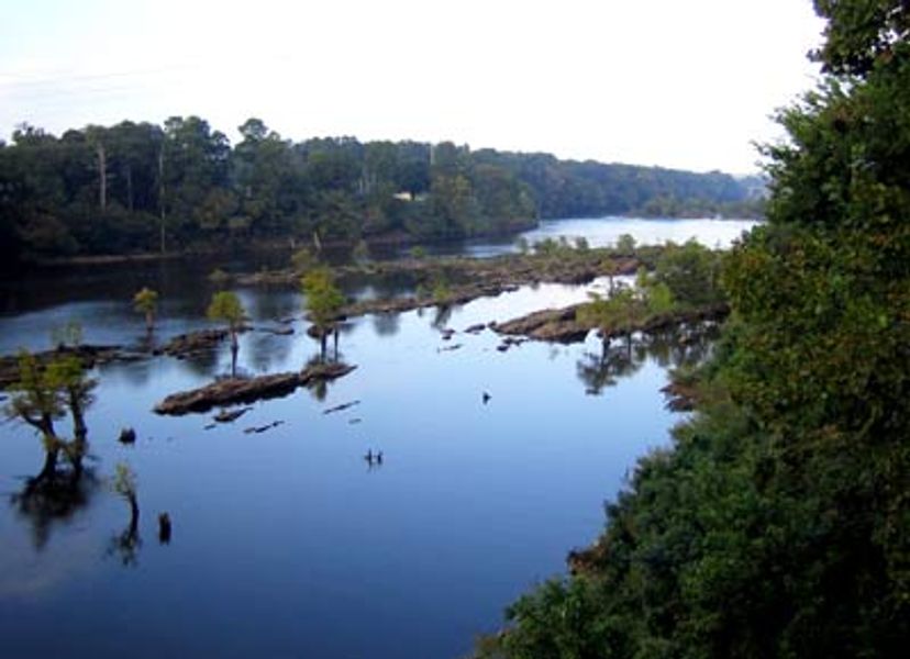 Alabama River Trail