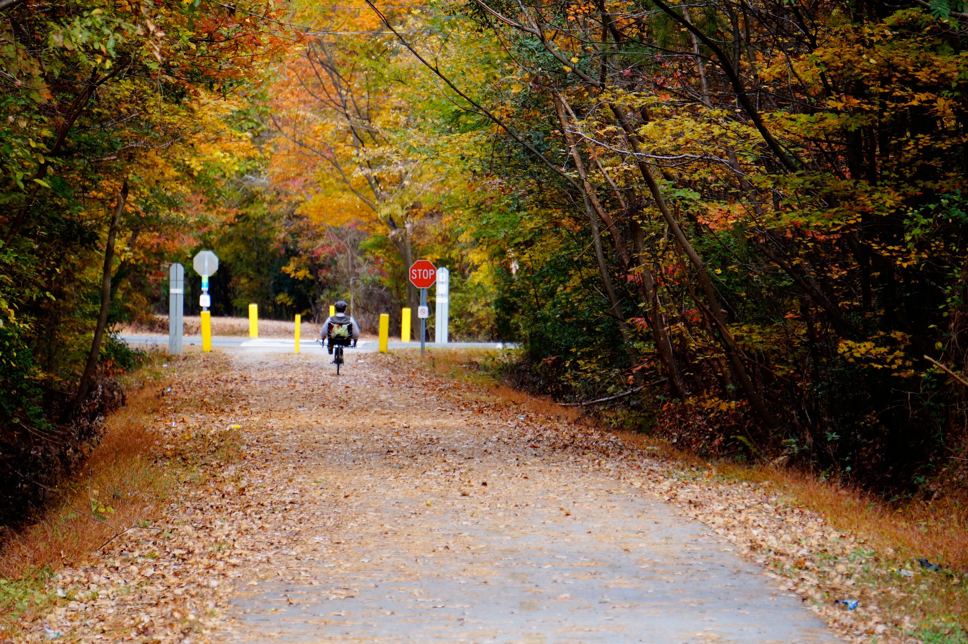 Riding a recumbent on the nicely paved trail. Photo by Sarina Lewis.