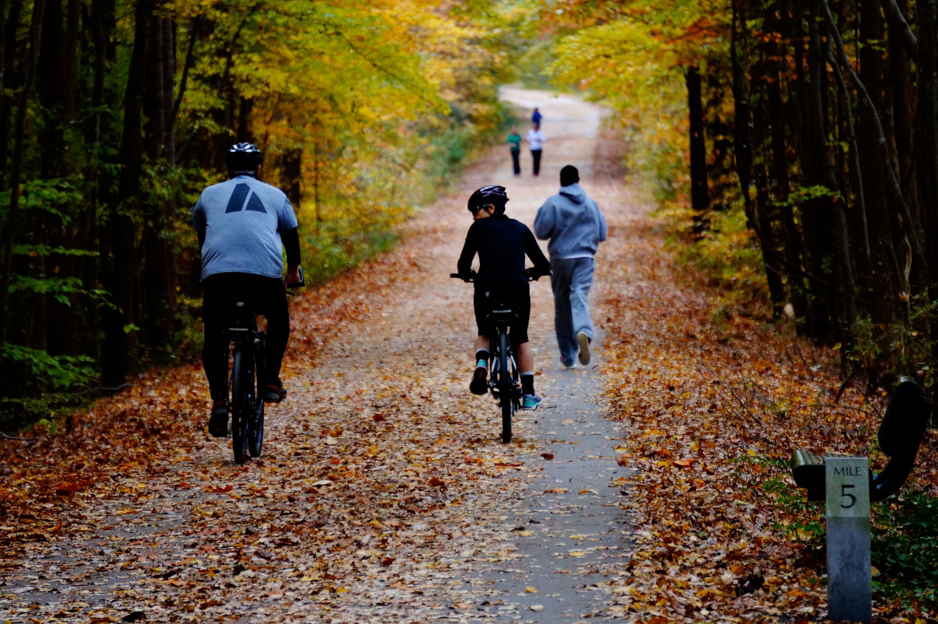 Bikers and walkers having fun on the trail. Photo by Sarina Lewis.