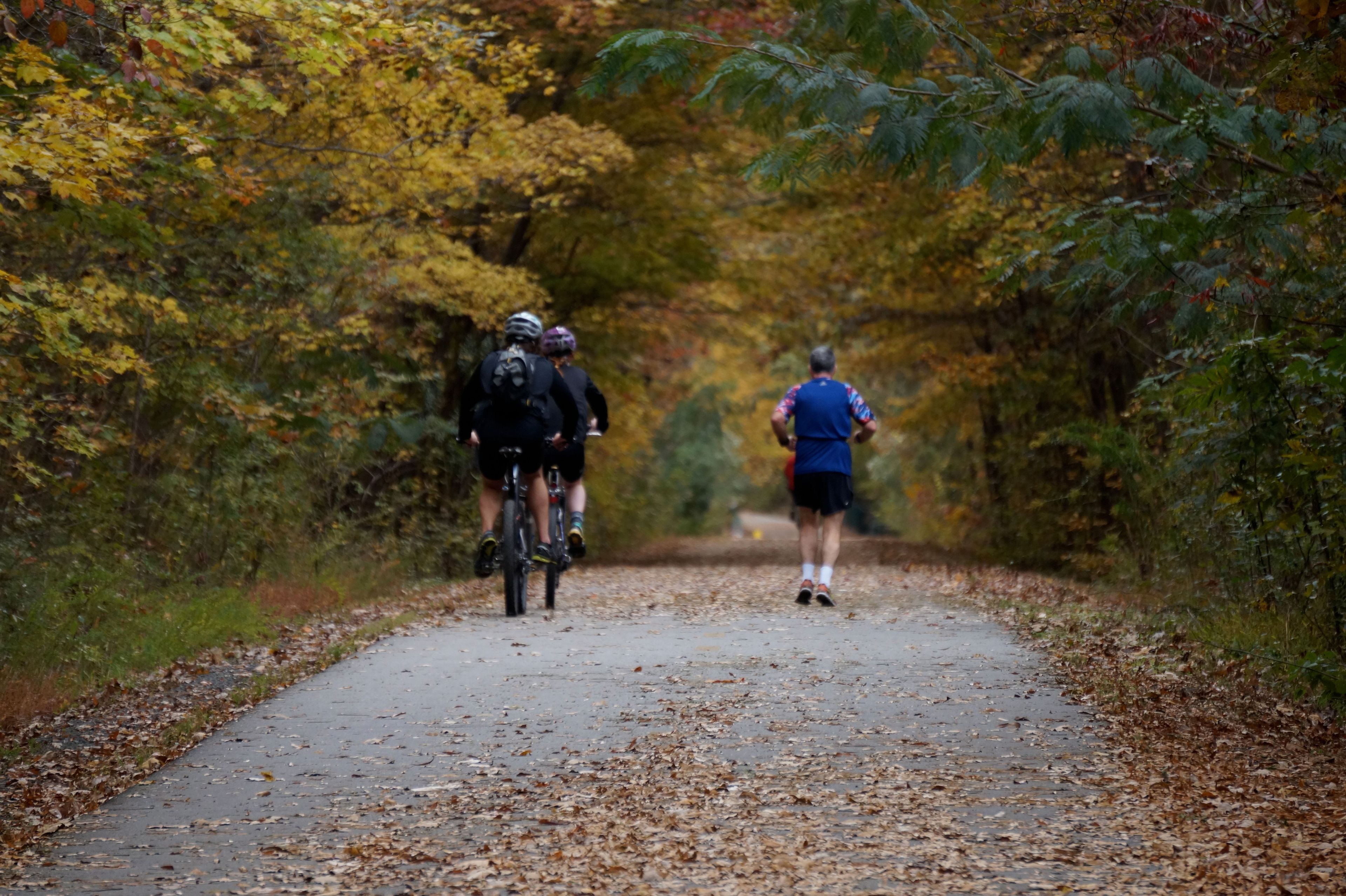 Bikers safely passing a runner. Photo by Sarina Lewis.