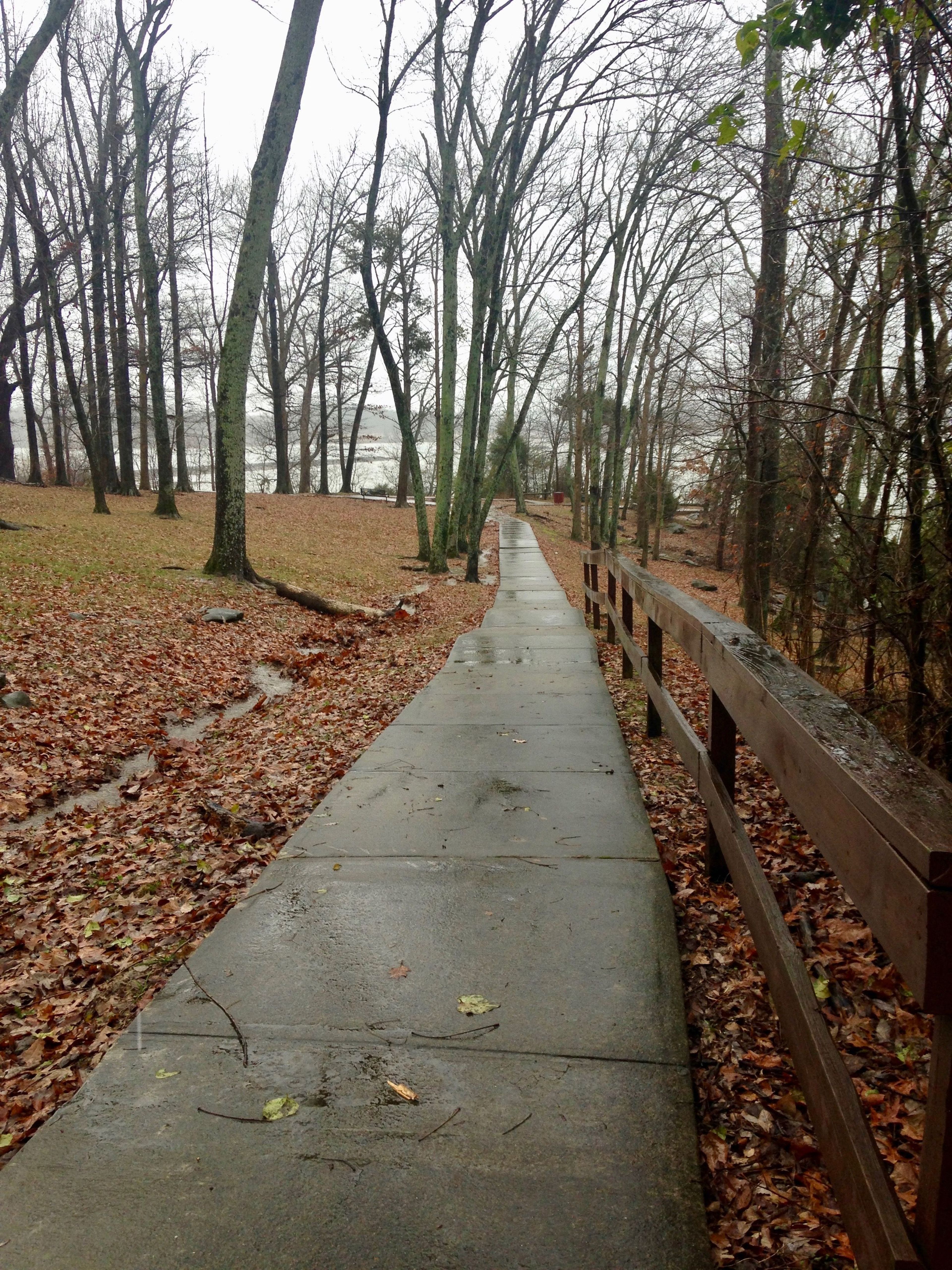 One section of the trail has a moderate grade change but handrails are provided. Photo by Donna Kridelbaugh & John Stone.