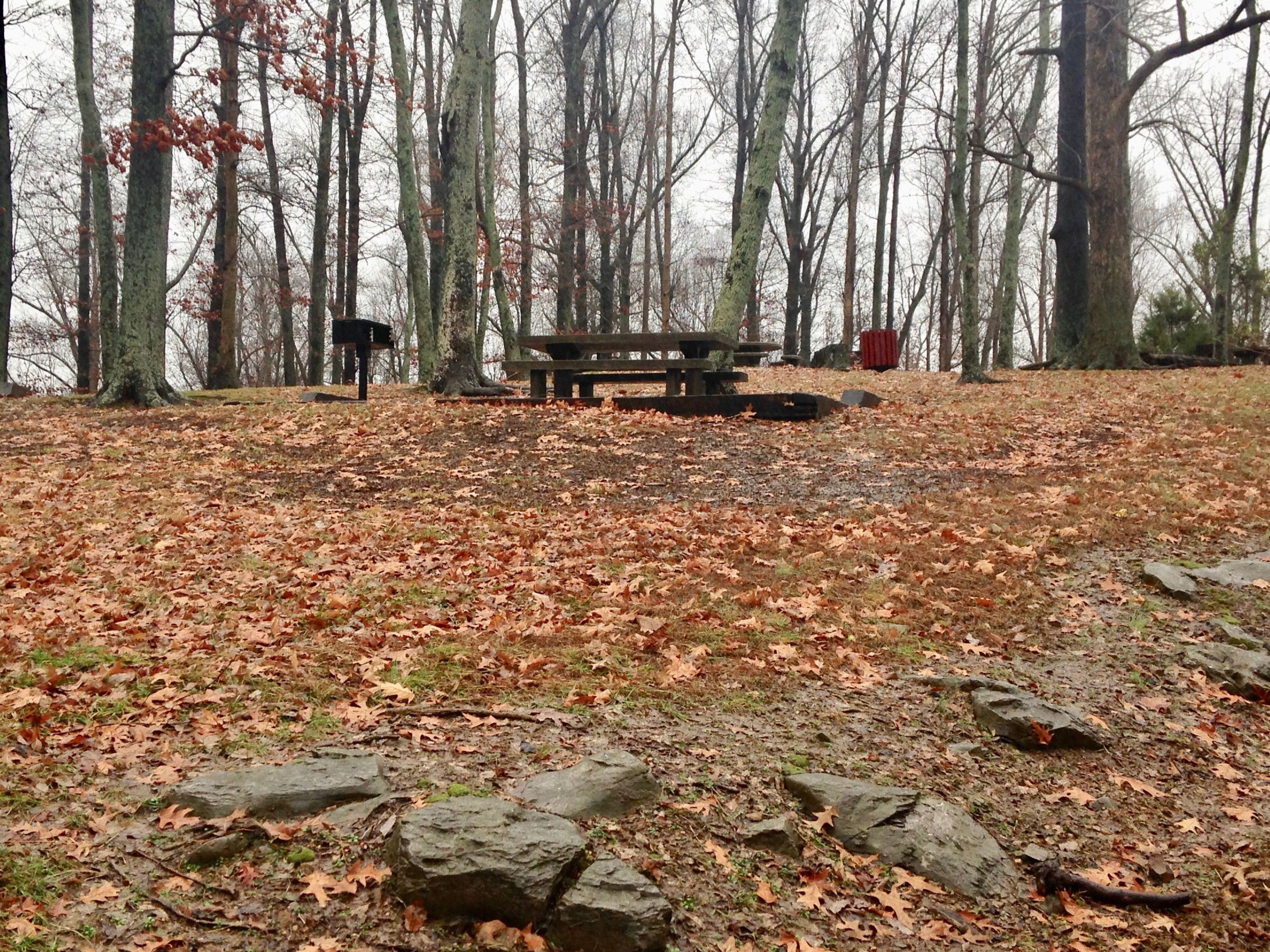 Several shaded picnic areas are provided along the trail. Photo by Donna Kridelbaugh & John Stone.