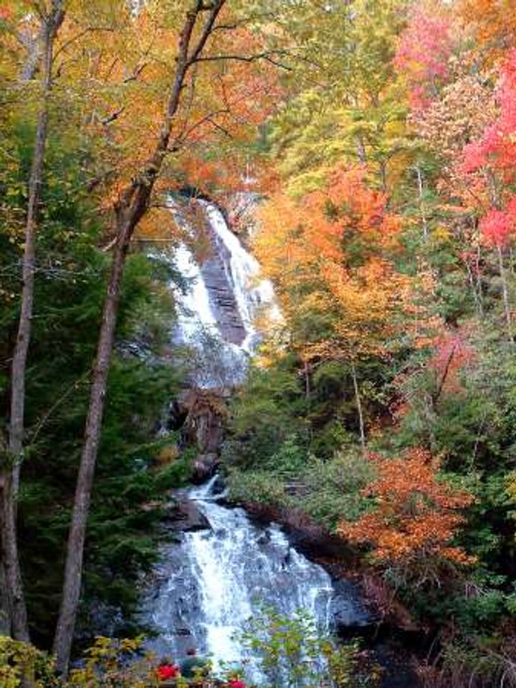 Anna Ruby Falls in the fall. Photo by USFS.