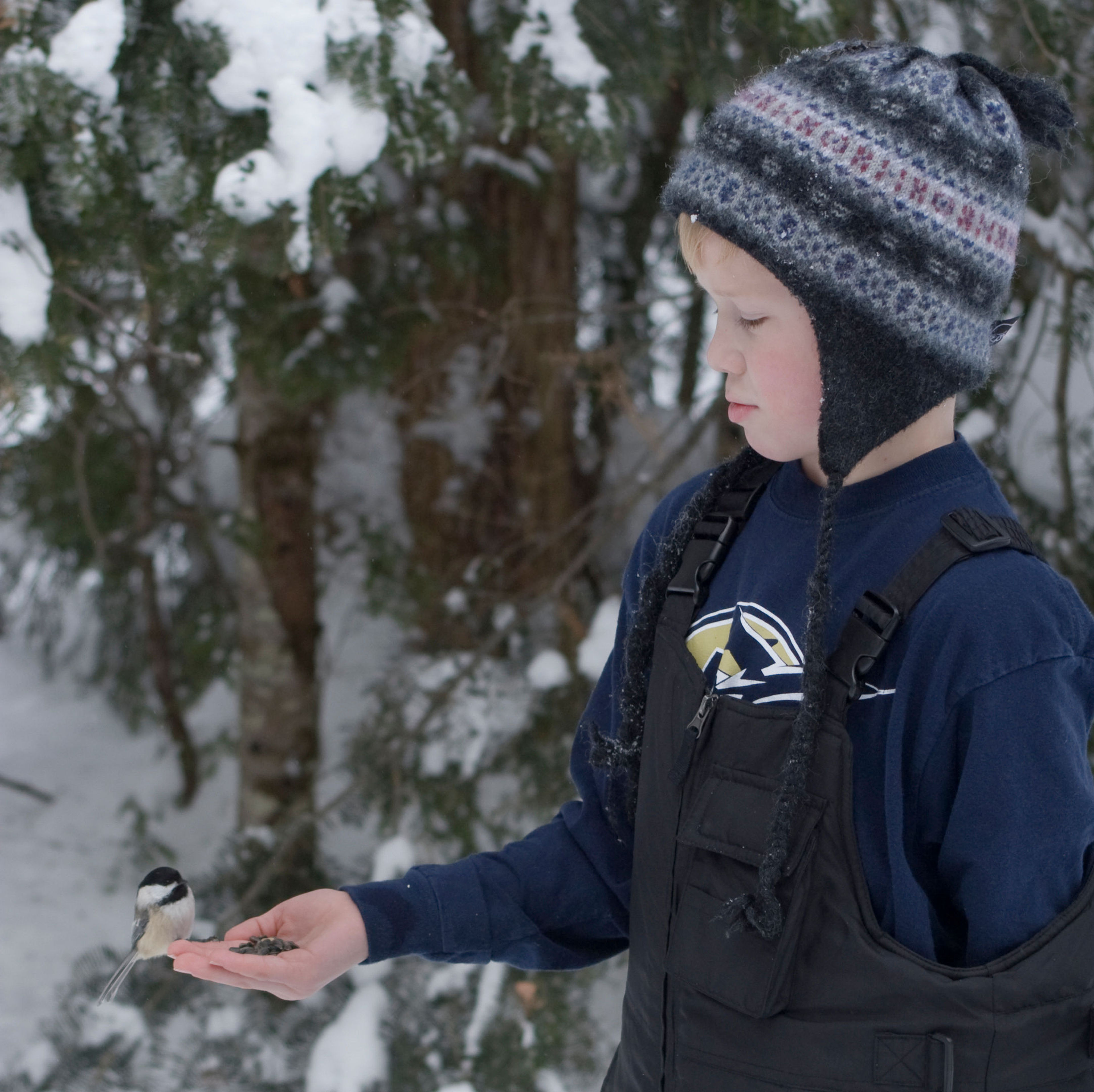 Feed the birds - Anvil Lake shelter. Photo by Tom Peterson.