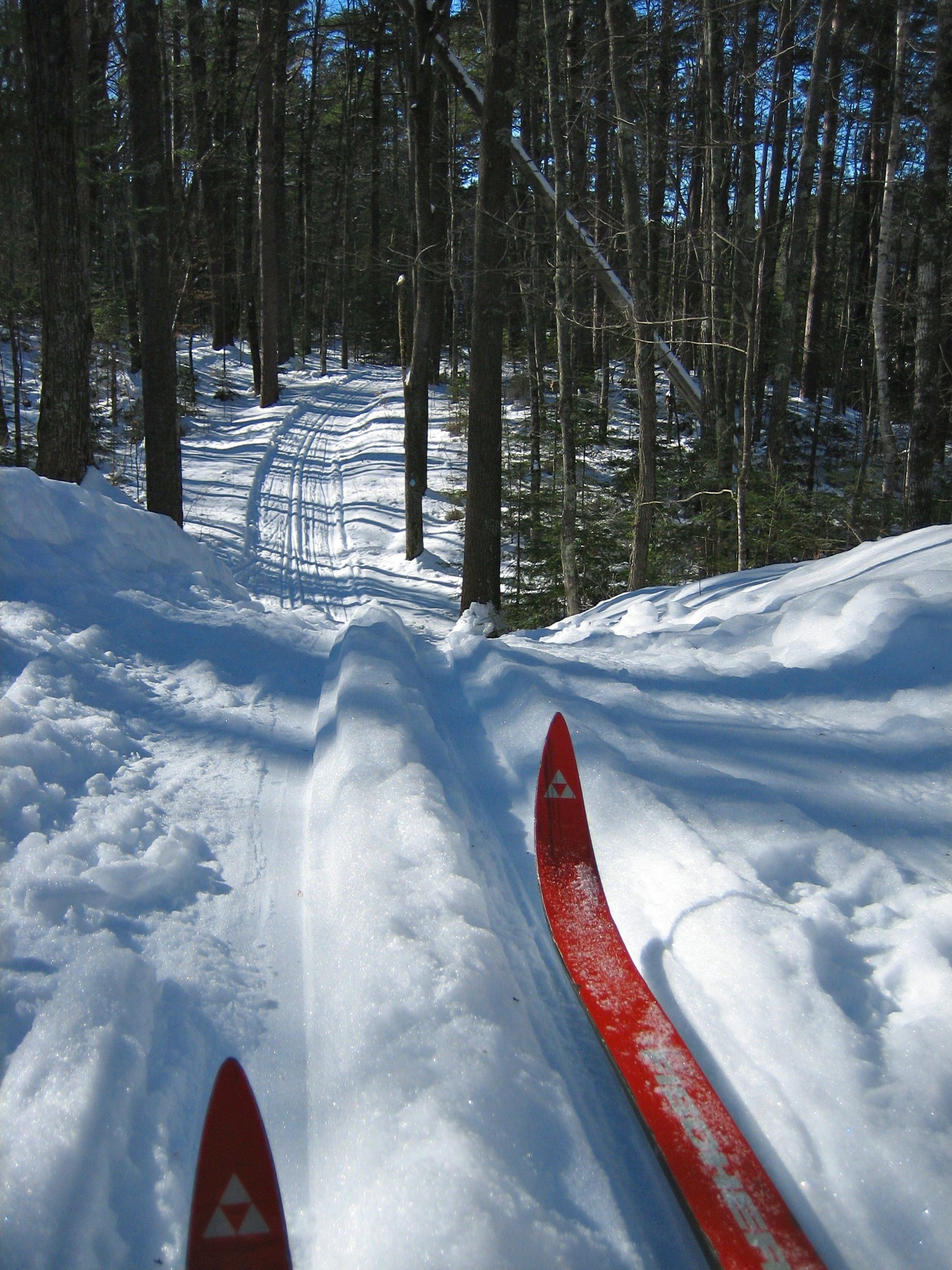 Happy skiing! Photo by Courtesy USFS.