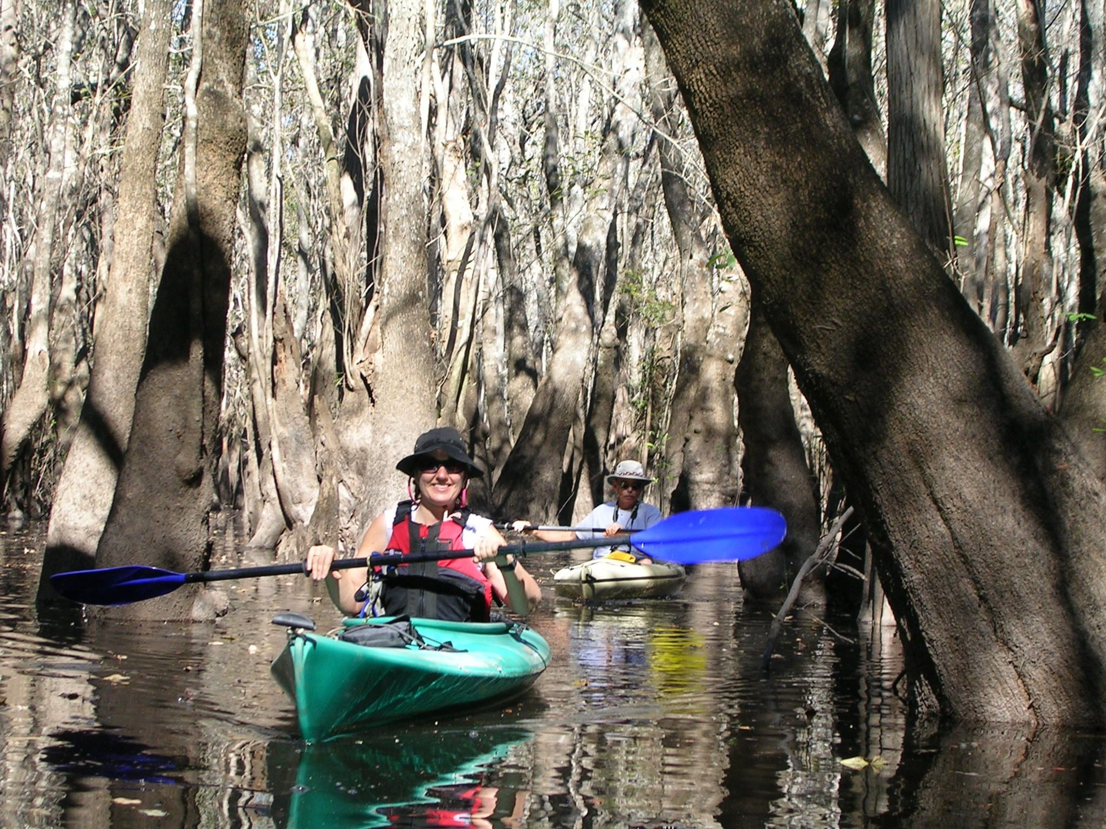 Paddlers in Tupelo Swamp.