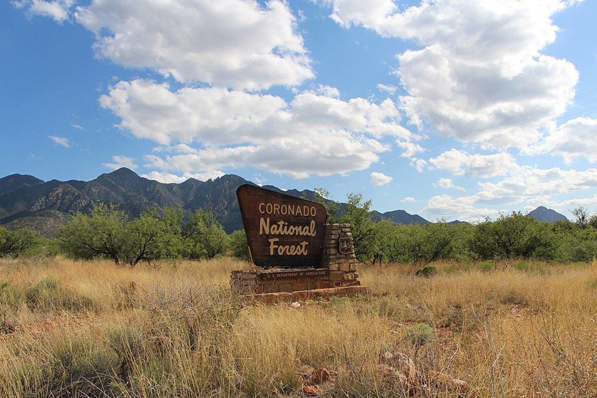 Coronado National Forest. Photo by USFS.