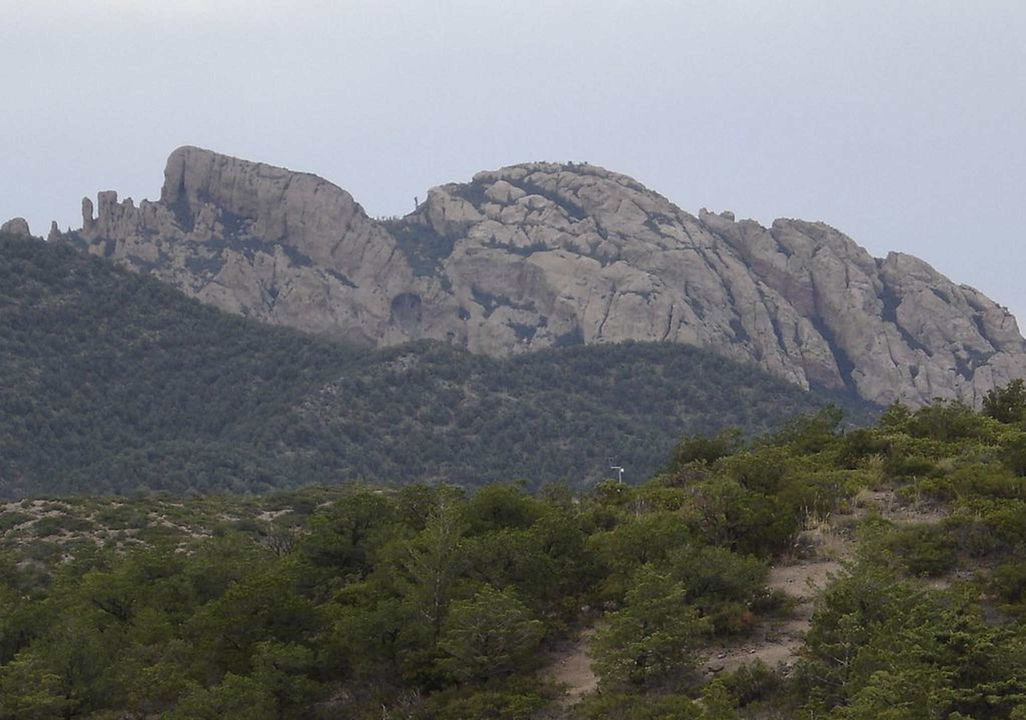 Coronado National Forest. Photo by Zereshk wiki.