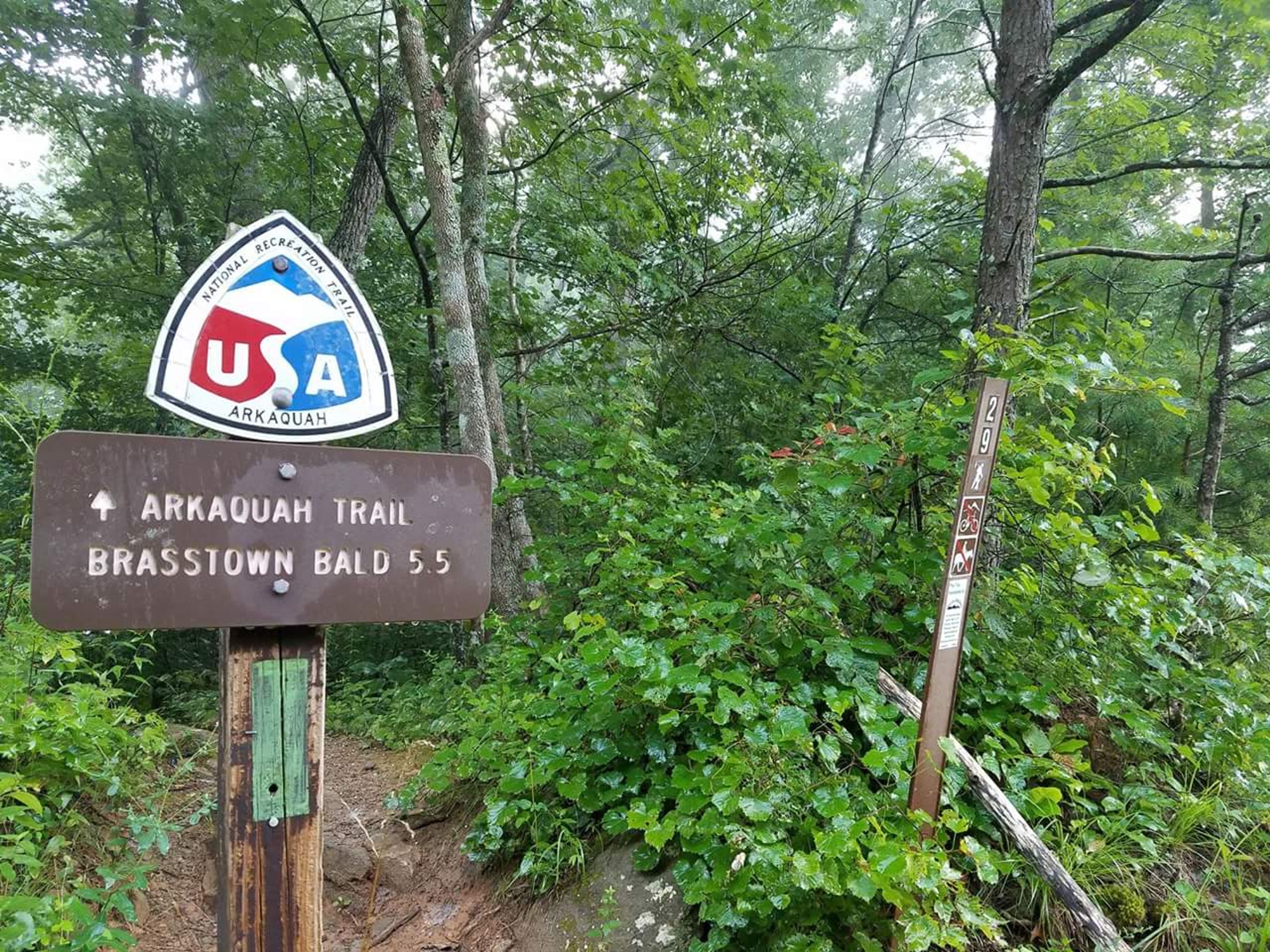 July 2017 hike to the highest point in Georgia (USA), Brasstown Bald Mountain. Photo by Kelly Carter.