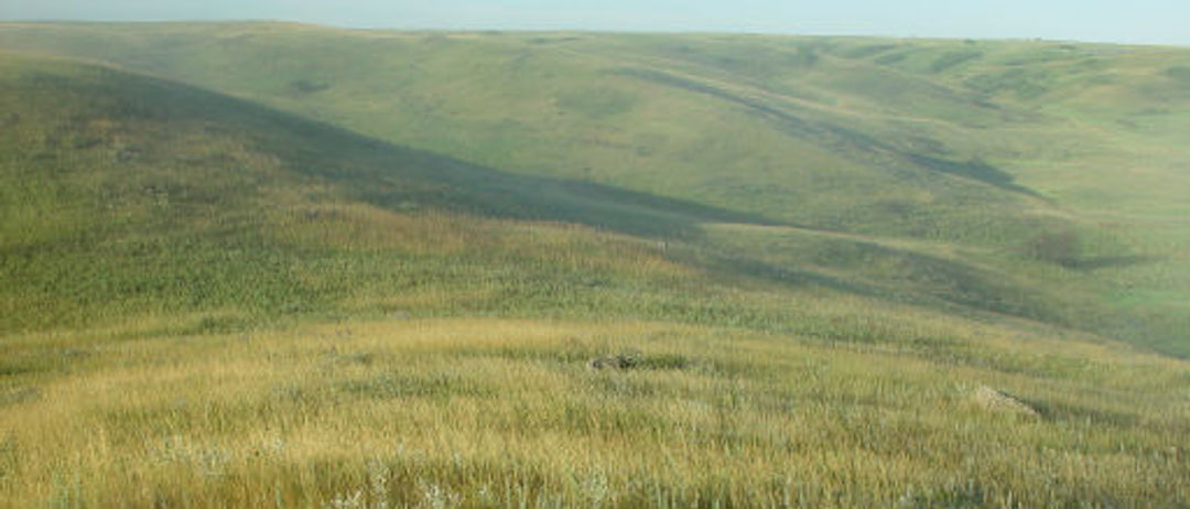 Grassland hills and prairie. Photo by USFWS.