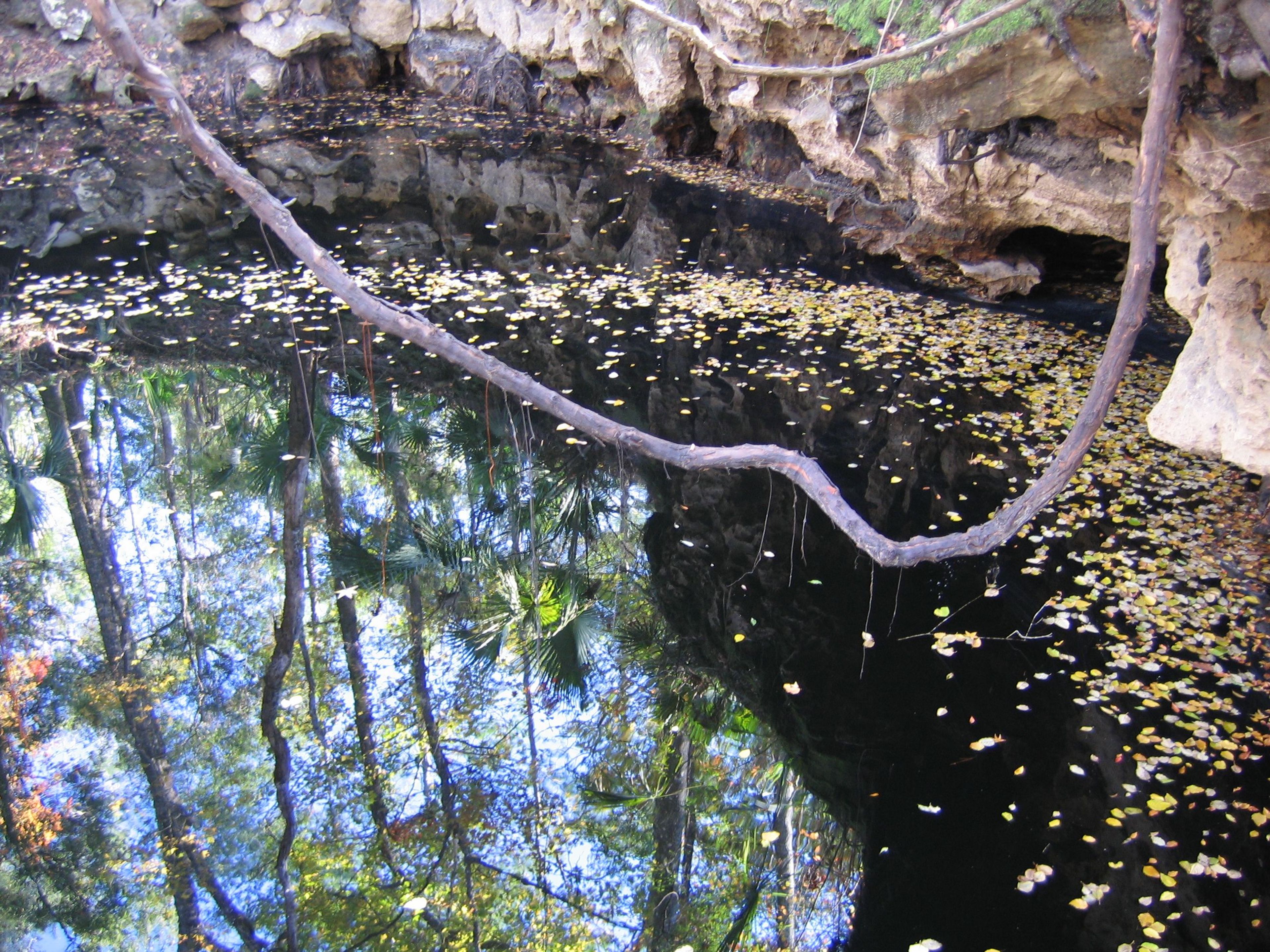 Aucilla River goes Underground