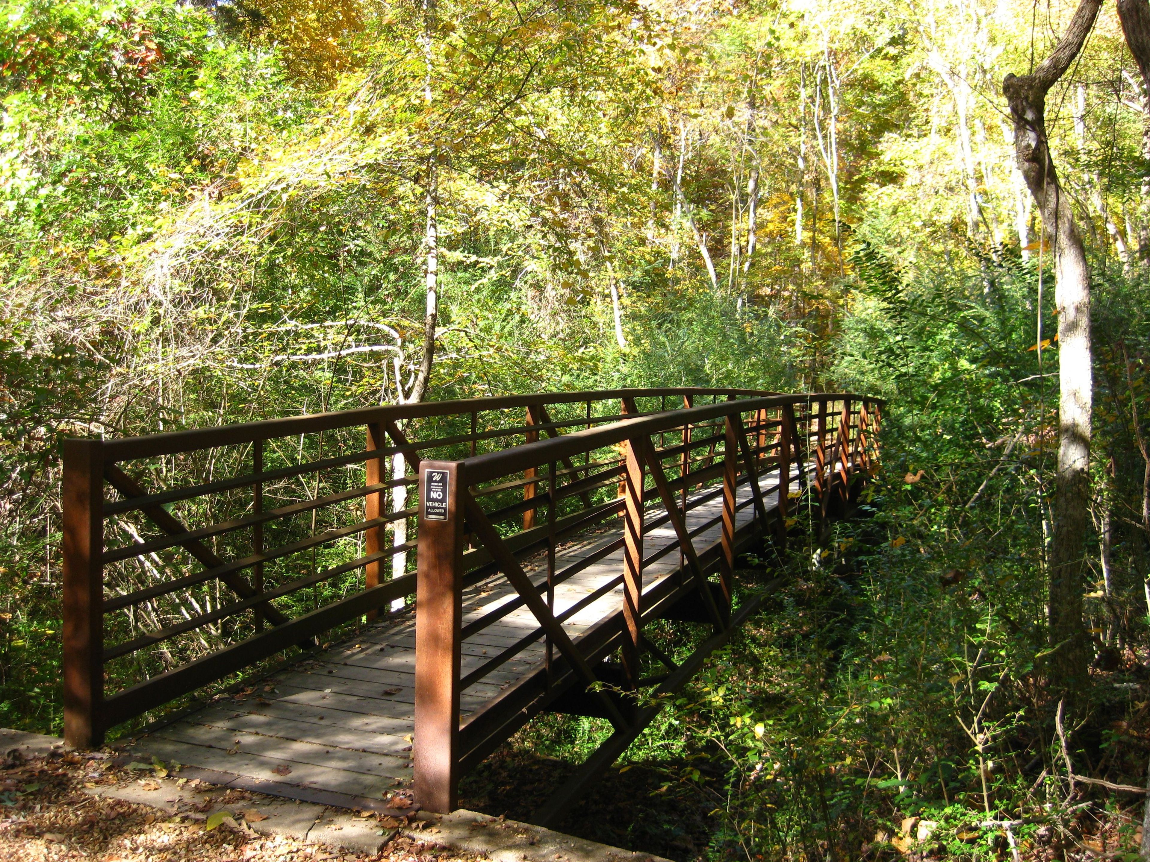 One of the four bridges in Bailey's Woods.