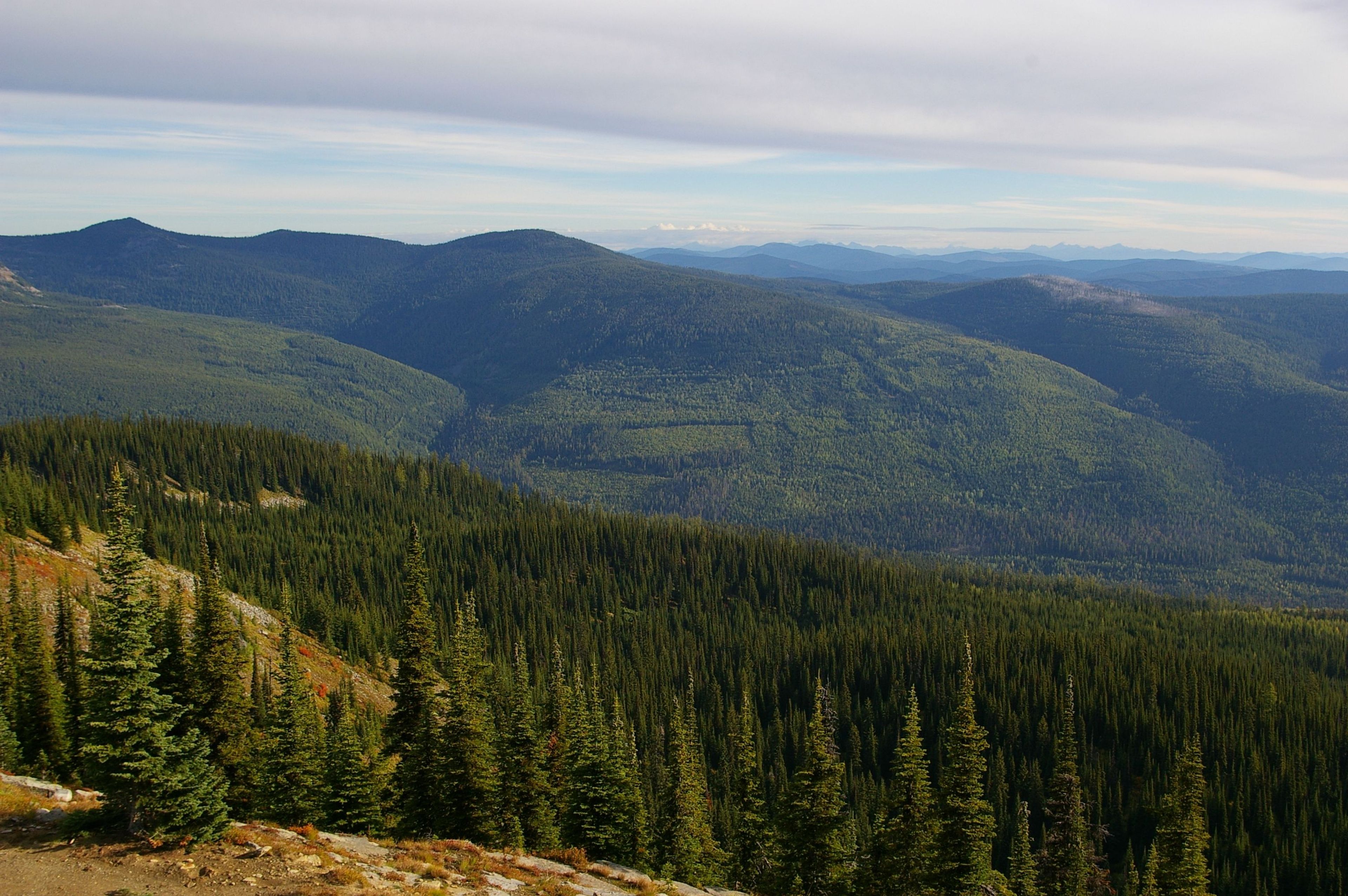 View from Baldy Lookout. Photo by Wade Moats/USFS.