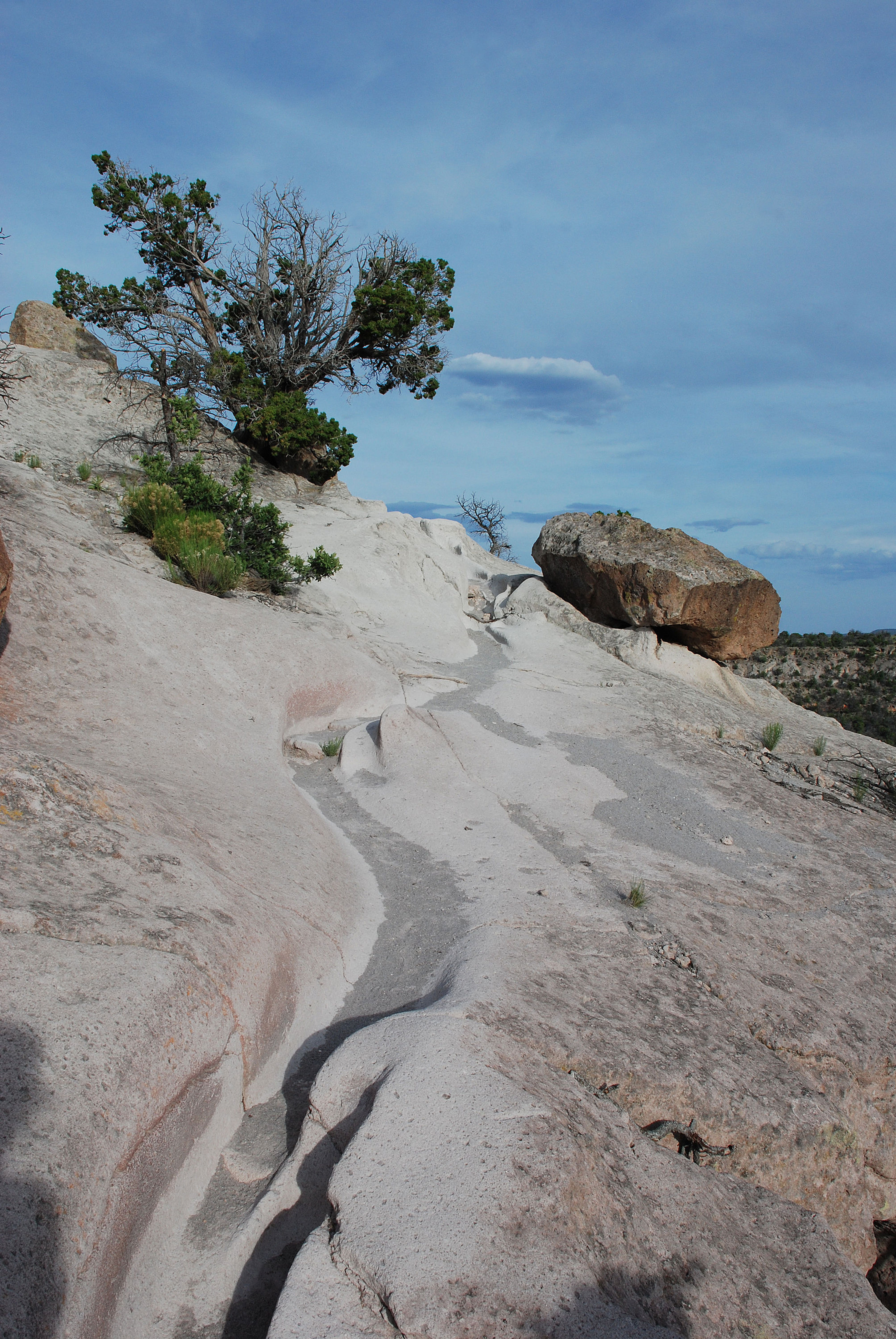 Tsankawi. Photo by Sally King courtesy NPS.