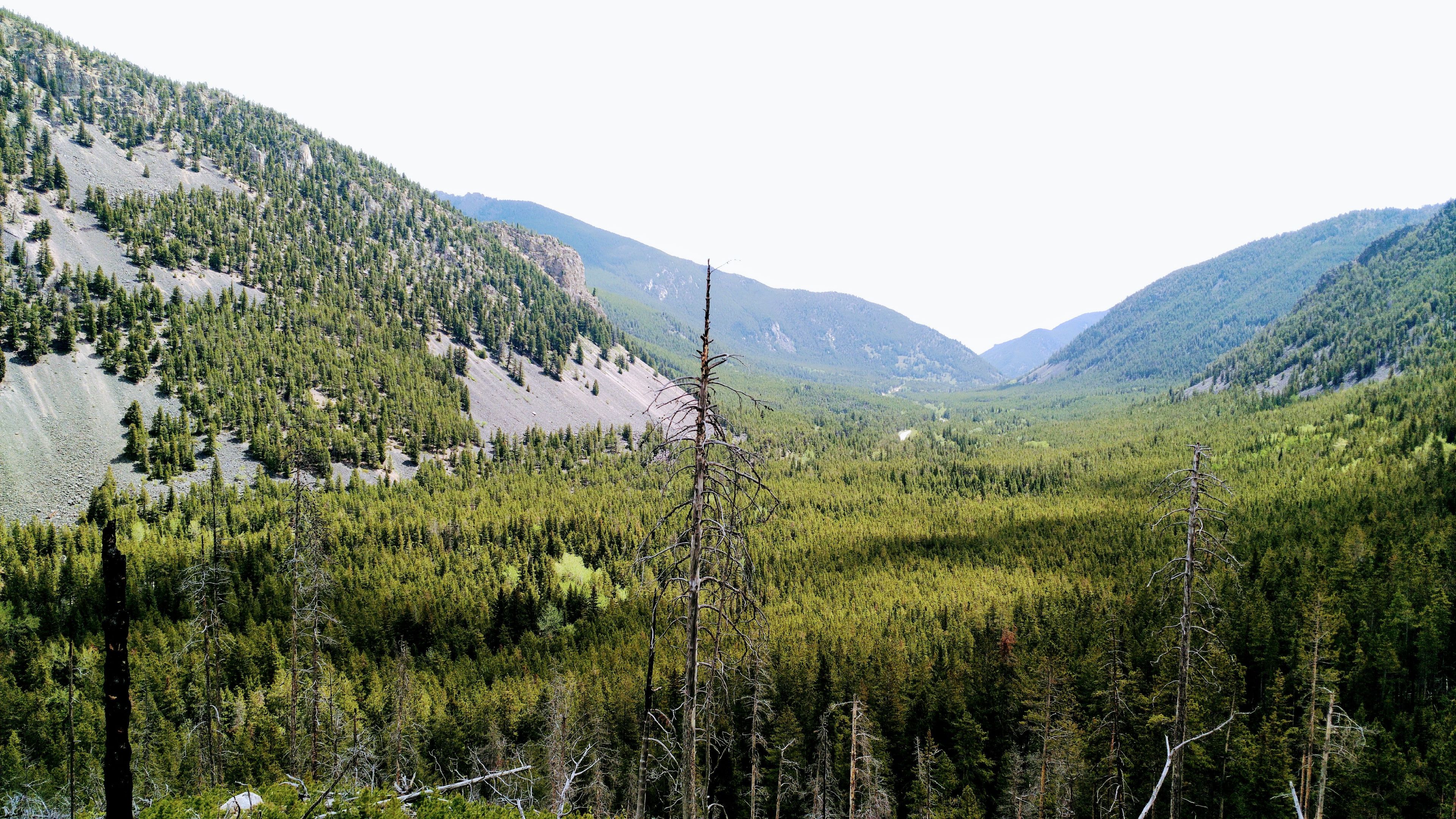 View from the trail. Photo by Kasie Haack.