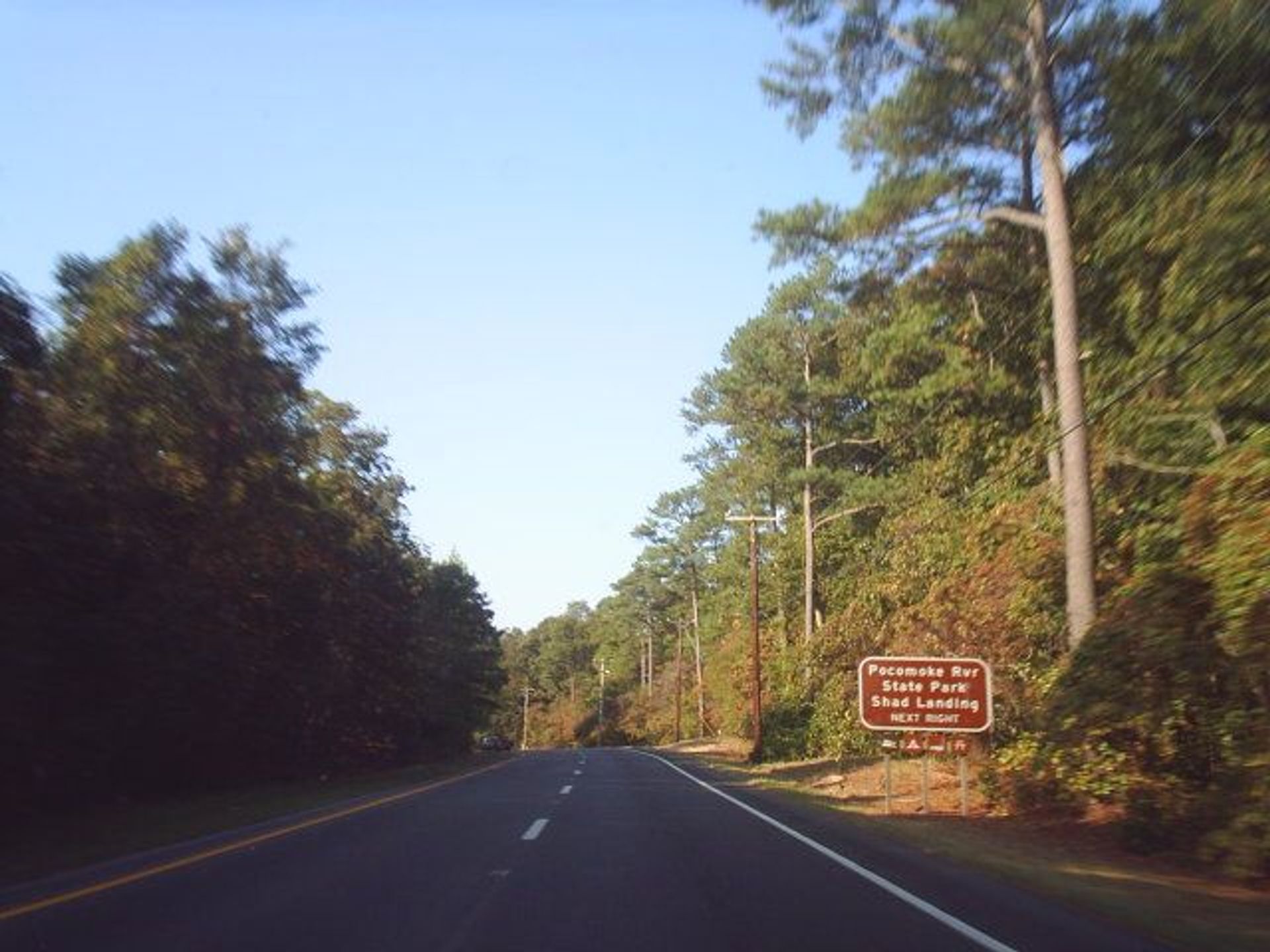 US 113 southbound near Shad Landing. Photo by Wiki Doug Kerr.