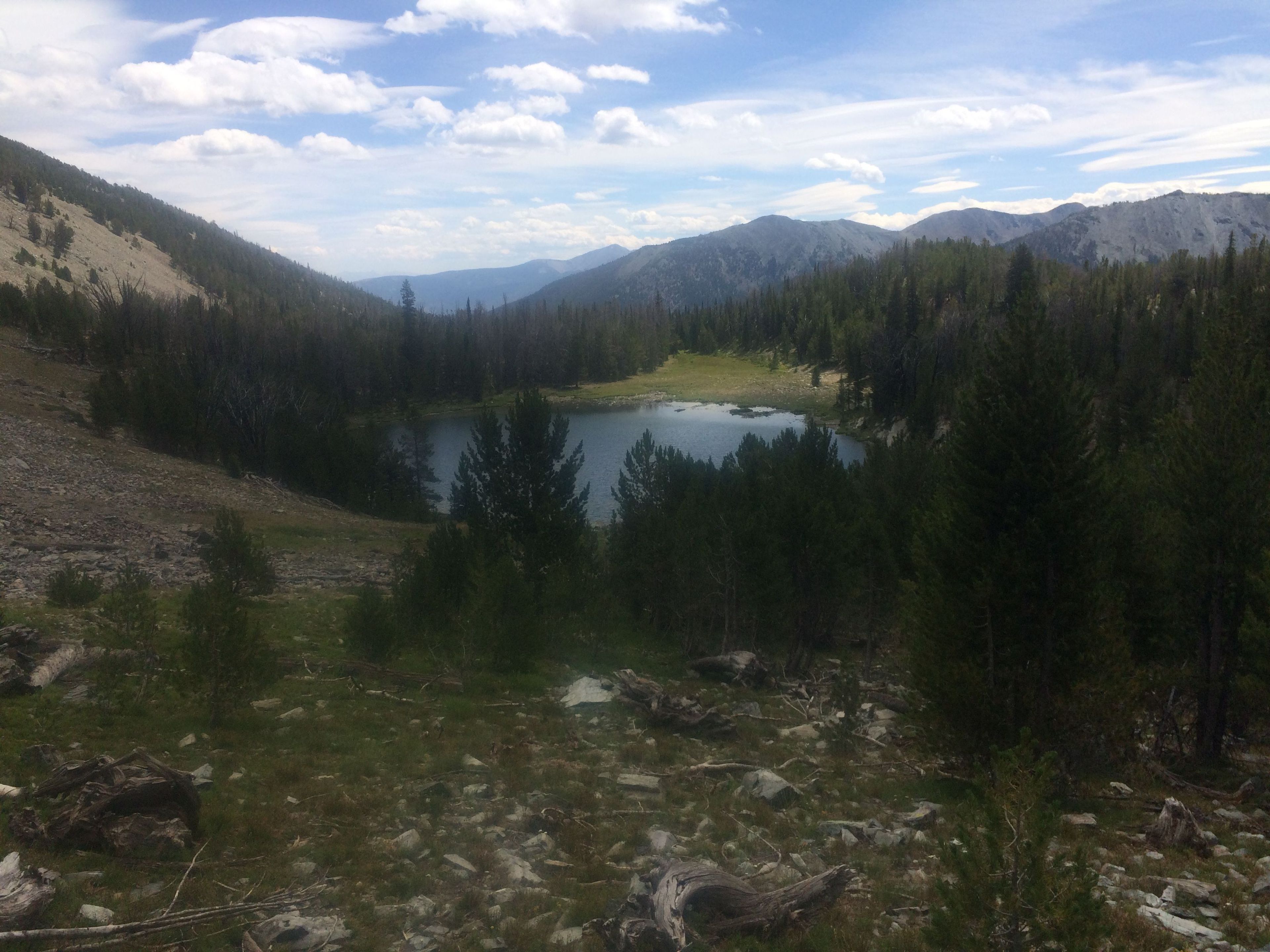 Vista looking over Upper Bear Valley Lake (Upper Lake Trail #6179). Photo by Marc Landblom.