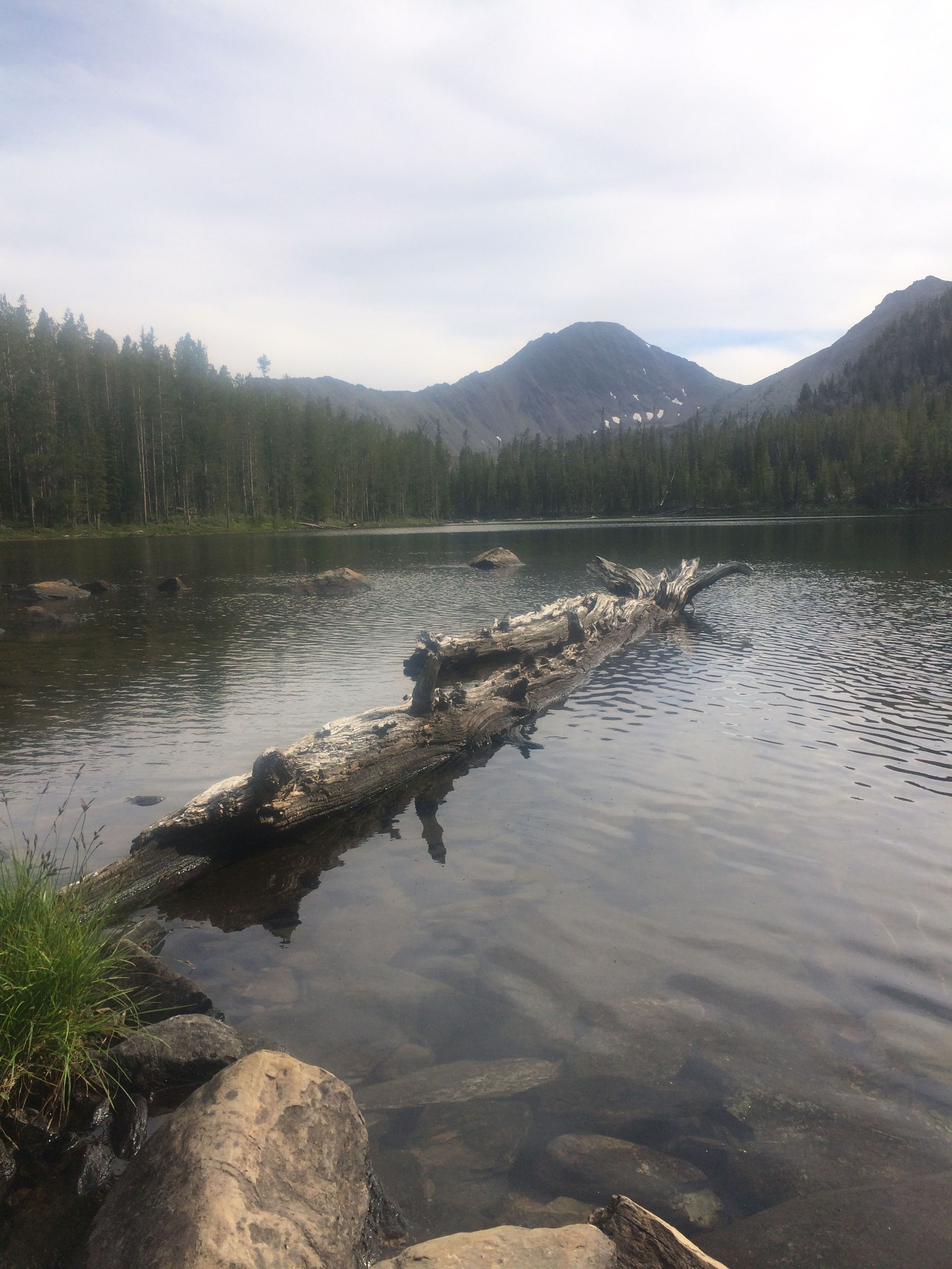 Upper Bear Valley Lake (Upper Lake Trail #6179). Photo by Marc Landblom.