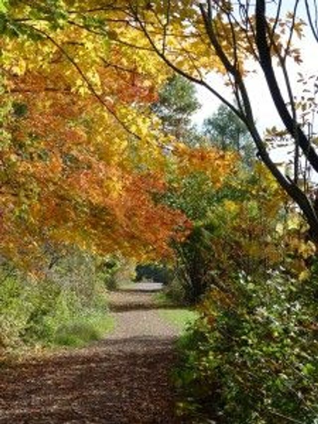 Fall scenery. Photo by Friends of BLNC.