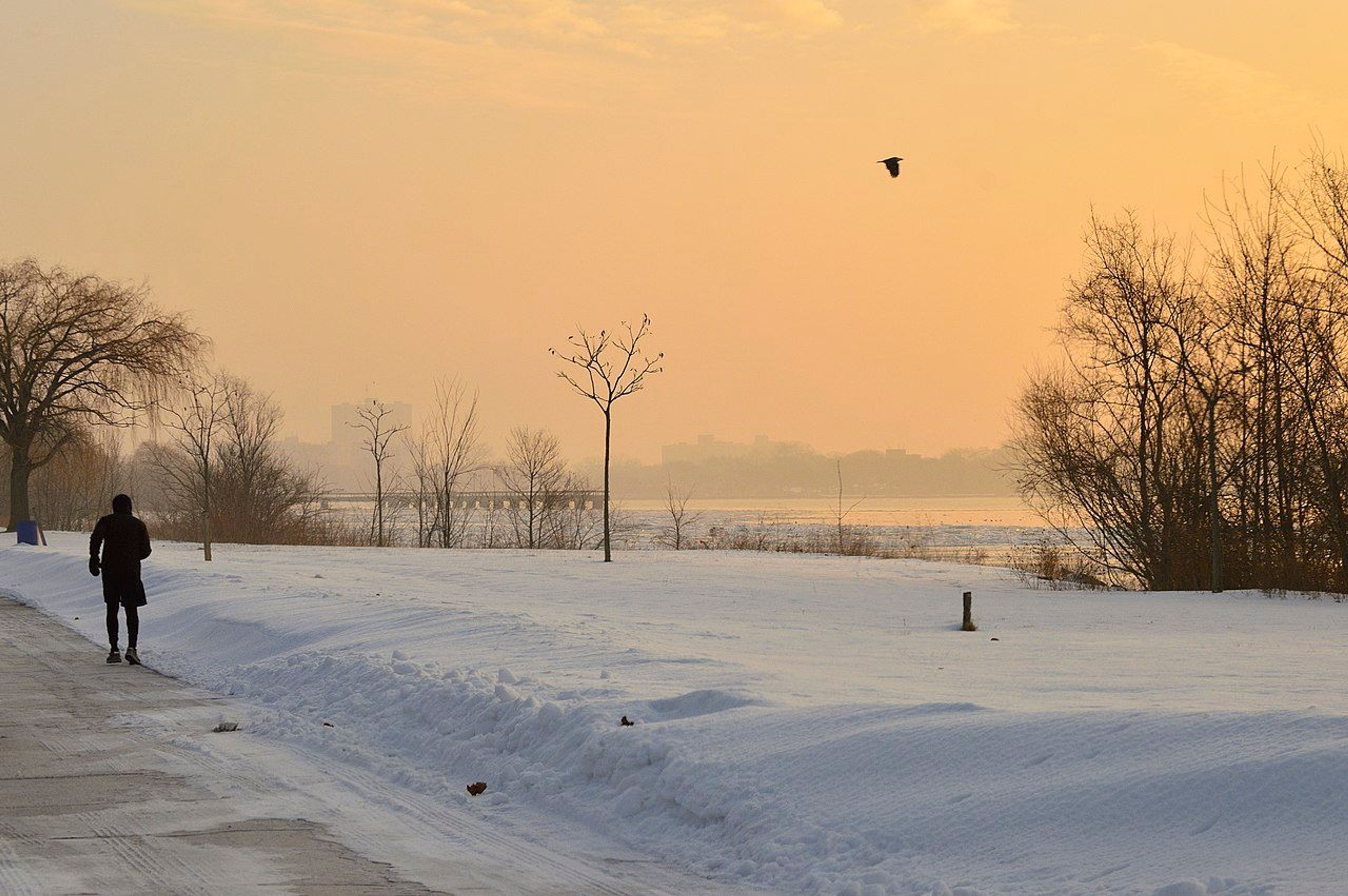 Belle Isle In The Winter. Photo by Tracie Michelle.