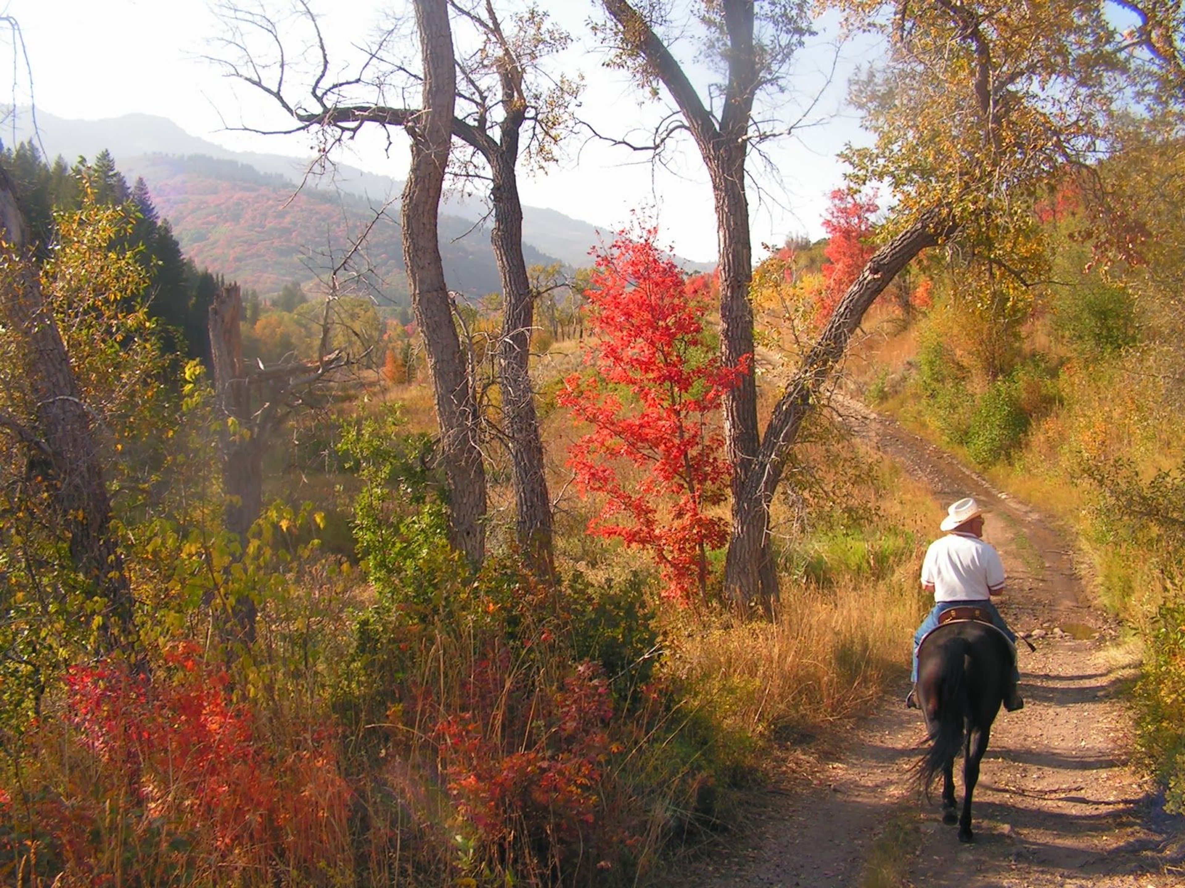 Equestrians enjoying a fall ride. Photo by Judy Nelson.