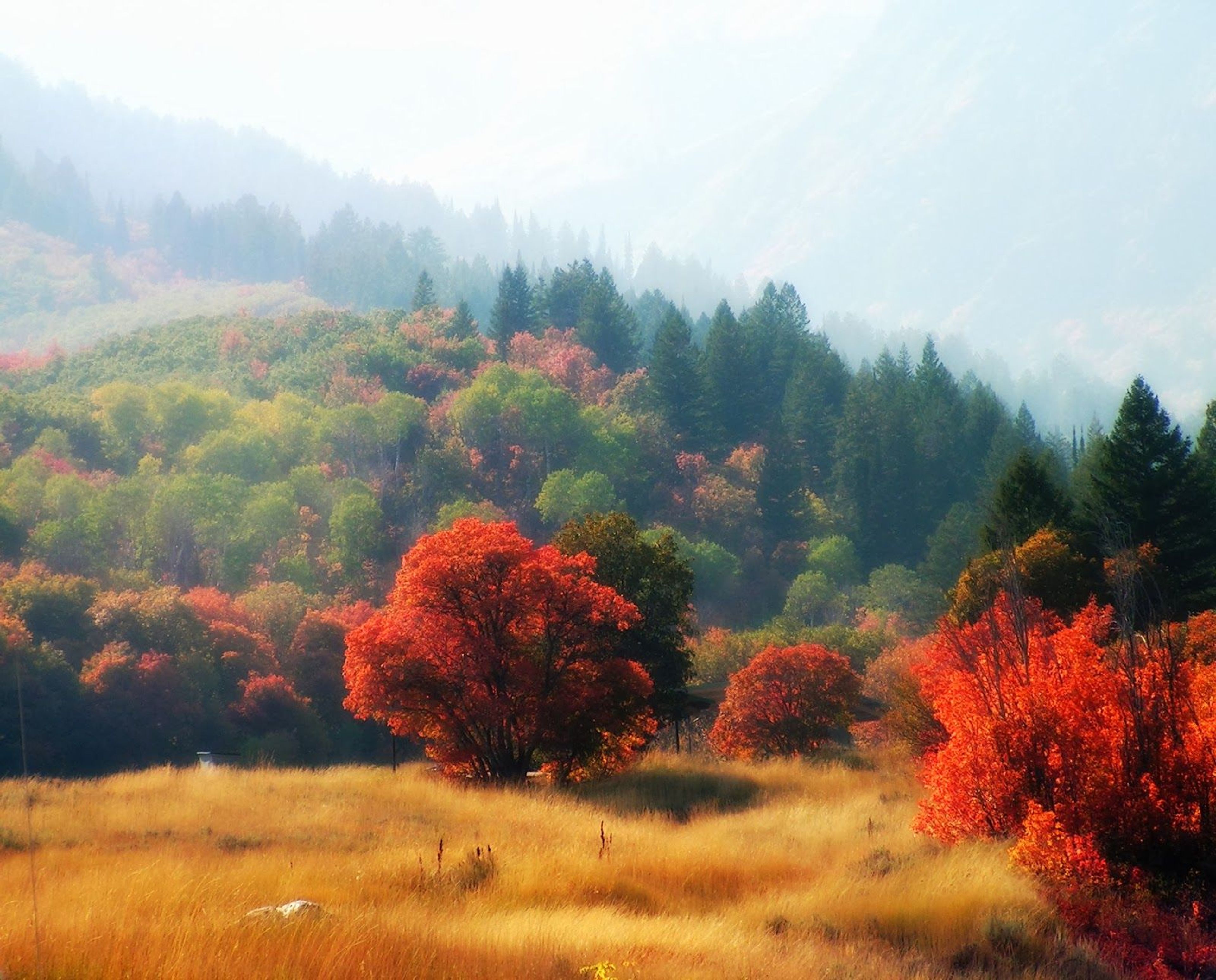 Spectacular trail views!. Photo by Judy Nelson.