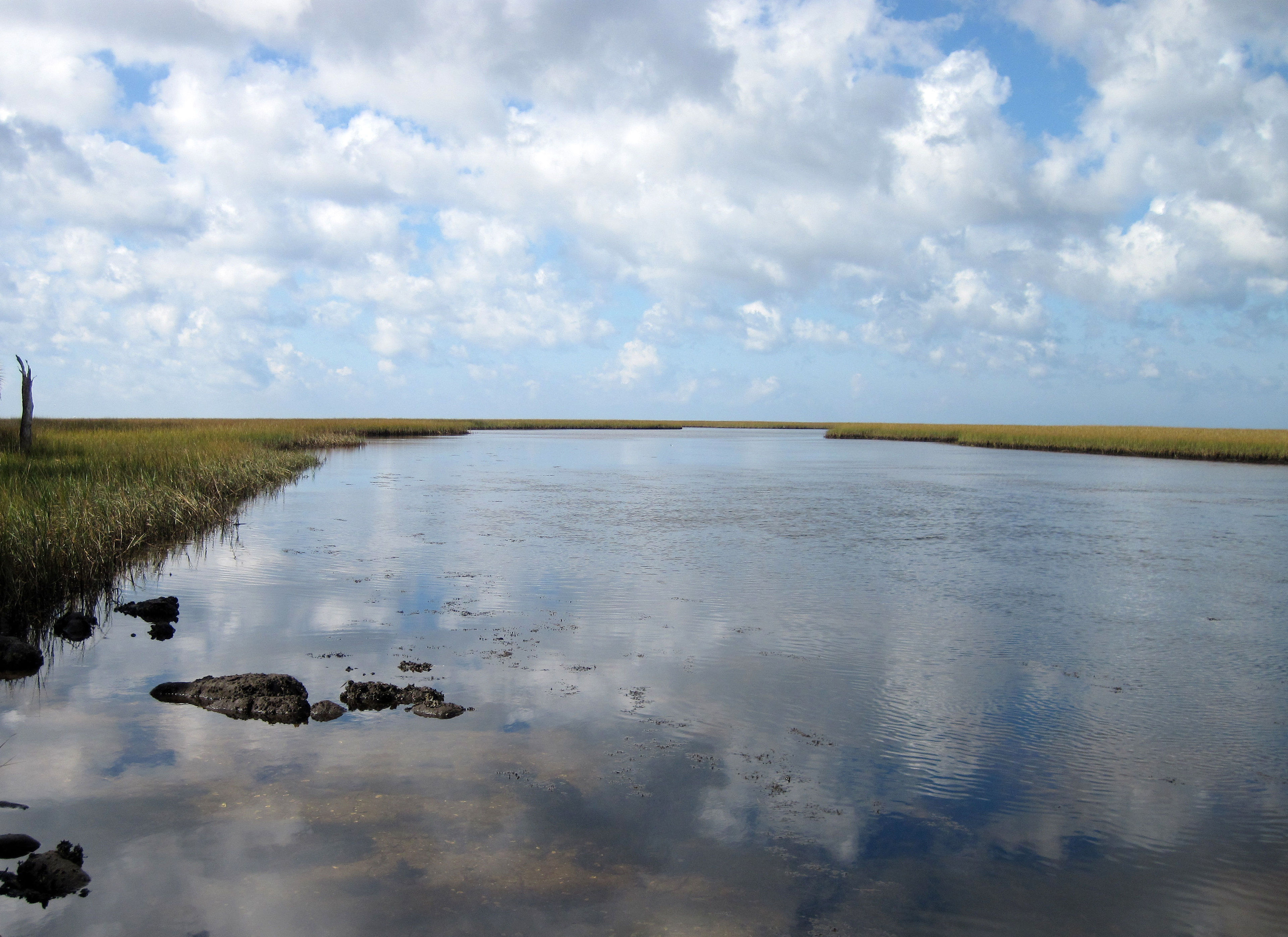 Sink Creek. Photo by Doug Alderson.