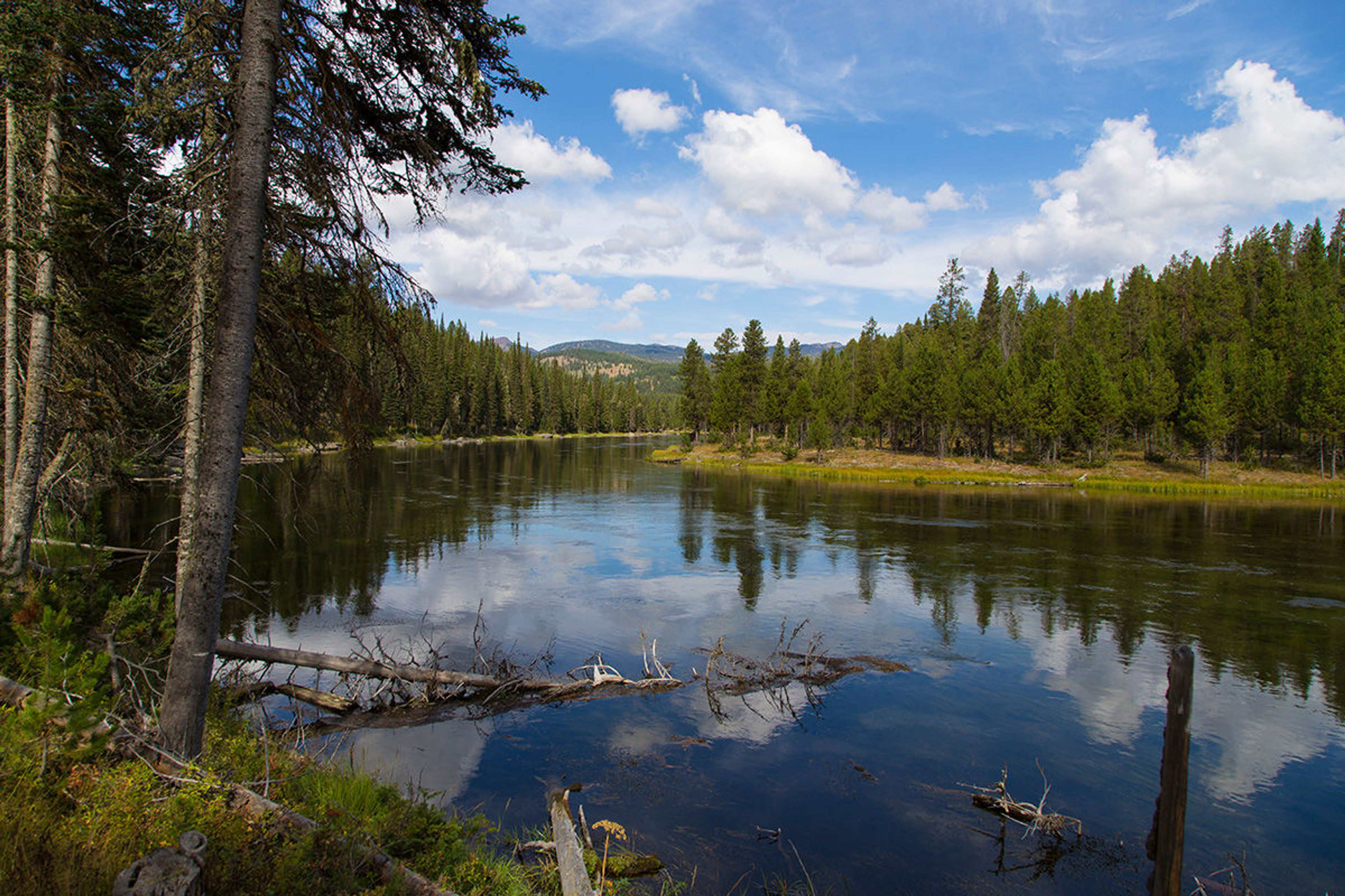 Henry's Fork of the Snake River near the Coffee Pot Rapids area near Island Park, Idaho. Photo by wiki James N Perdue.