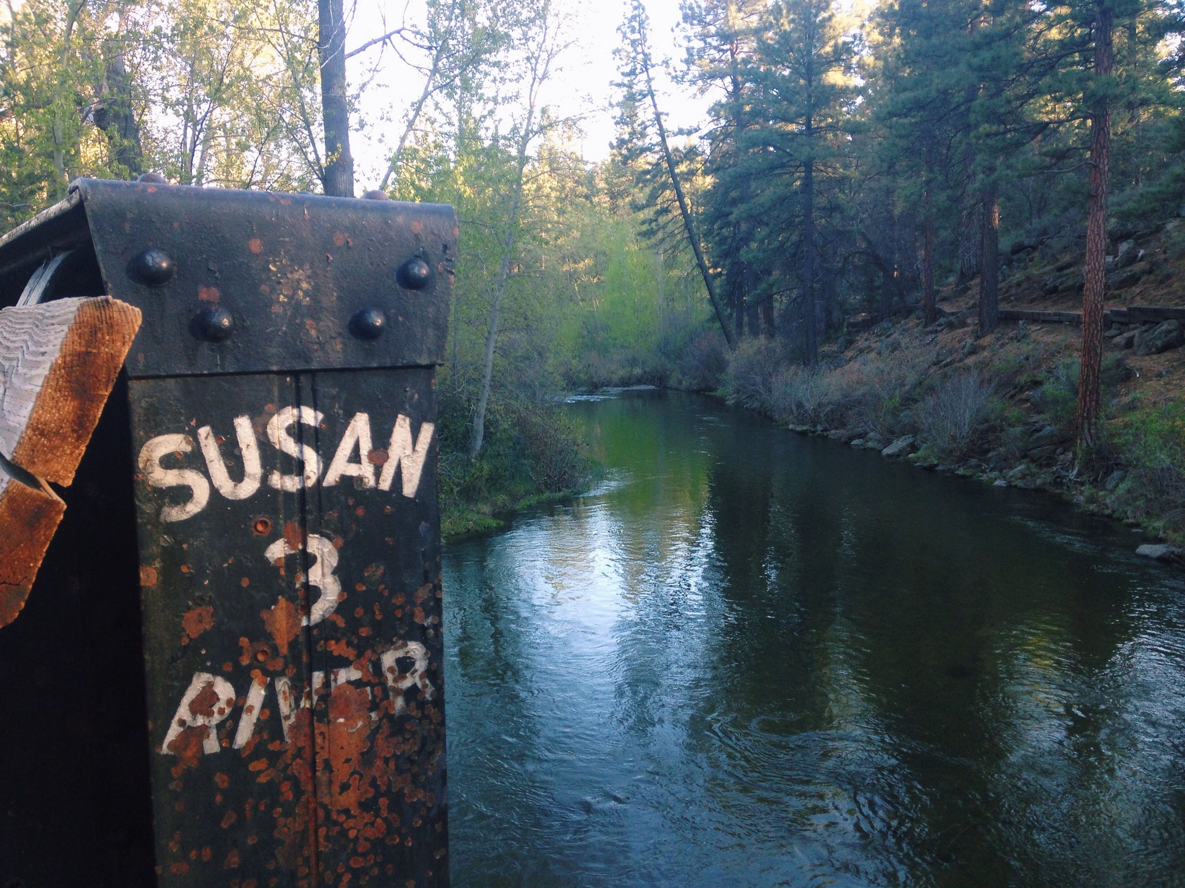 Looking over the Susan River from the trail. Photo by Dana Buzzelli.