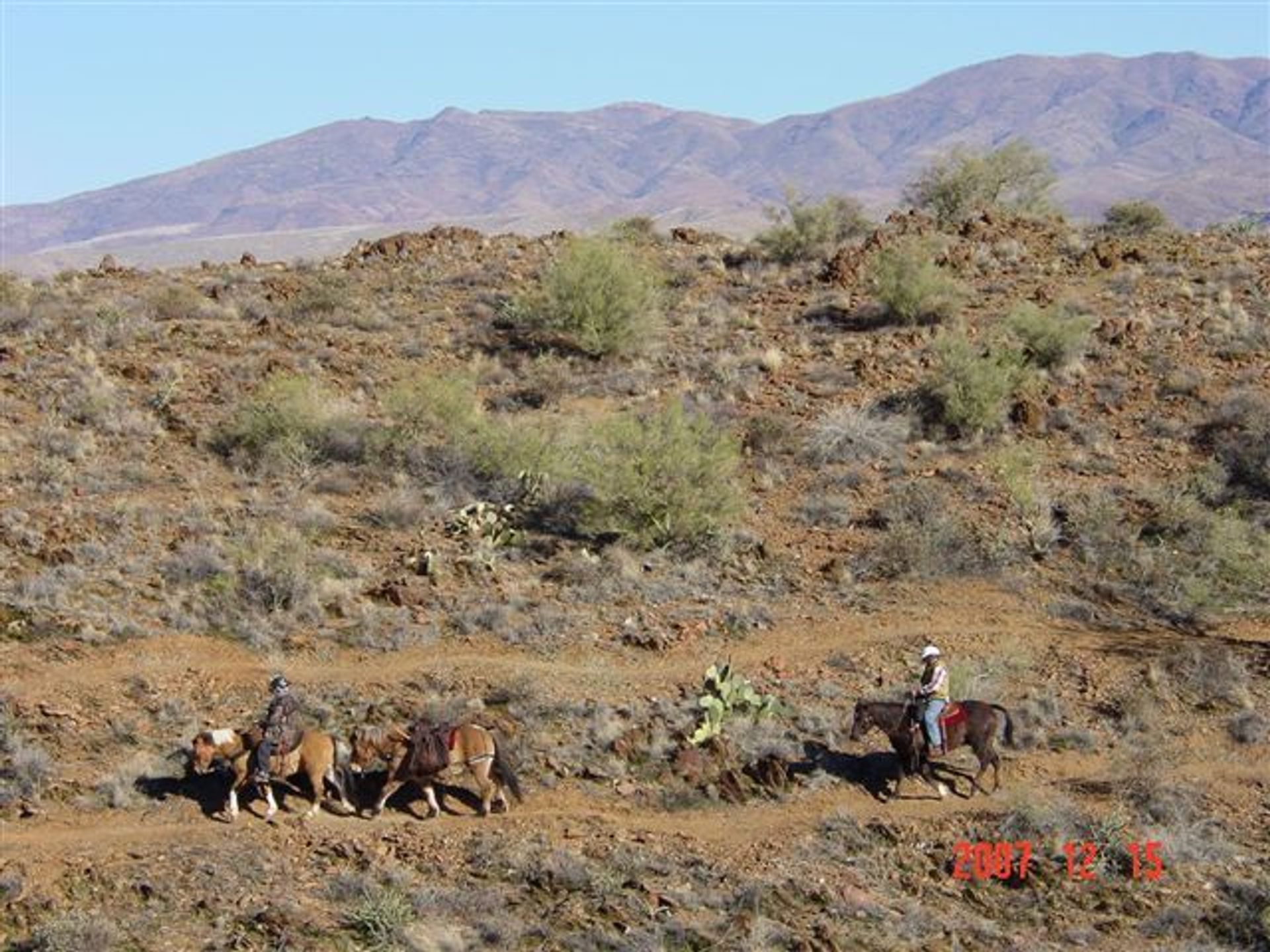 Pack stock and BCTC volunteer riders descend a hill and switchback. Photo by Rich Hanson.