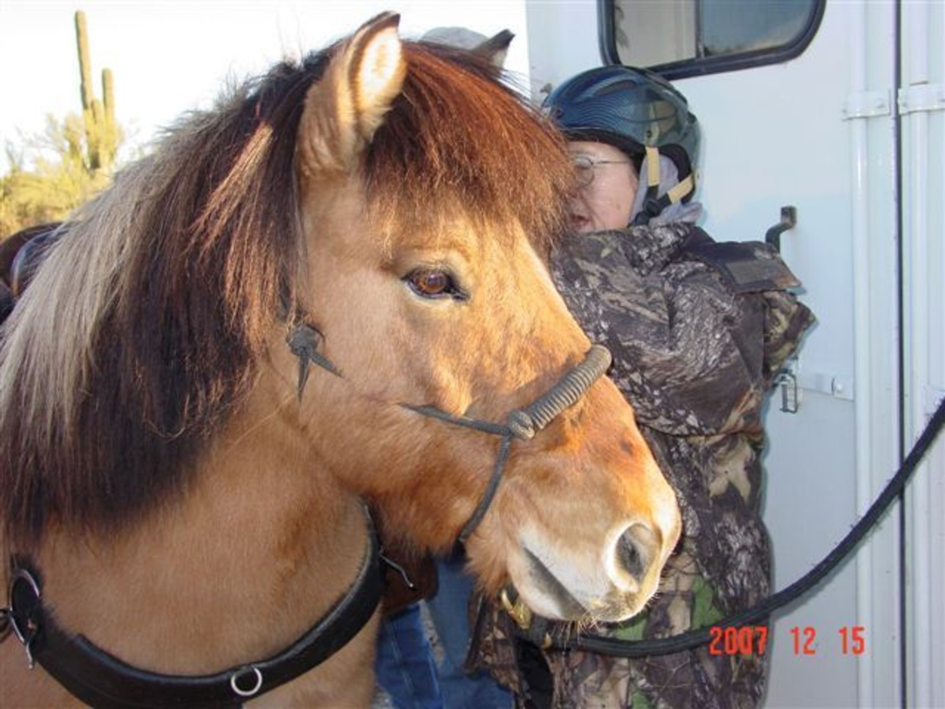 Volunteer saddles up a horse for packing tools, coolers, and people 4 miles to trail project site. Photo by Rich Hanson.