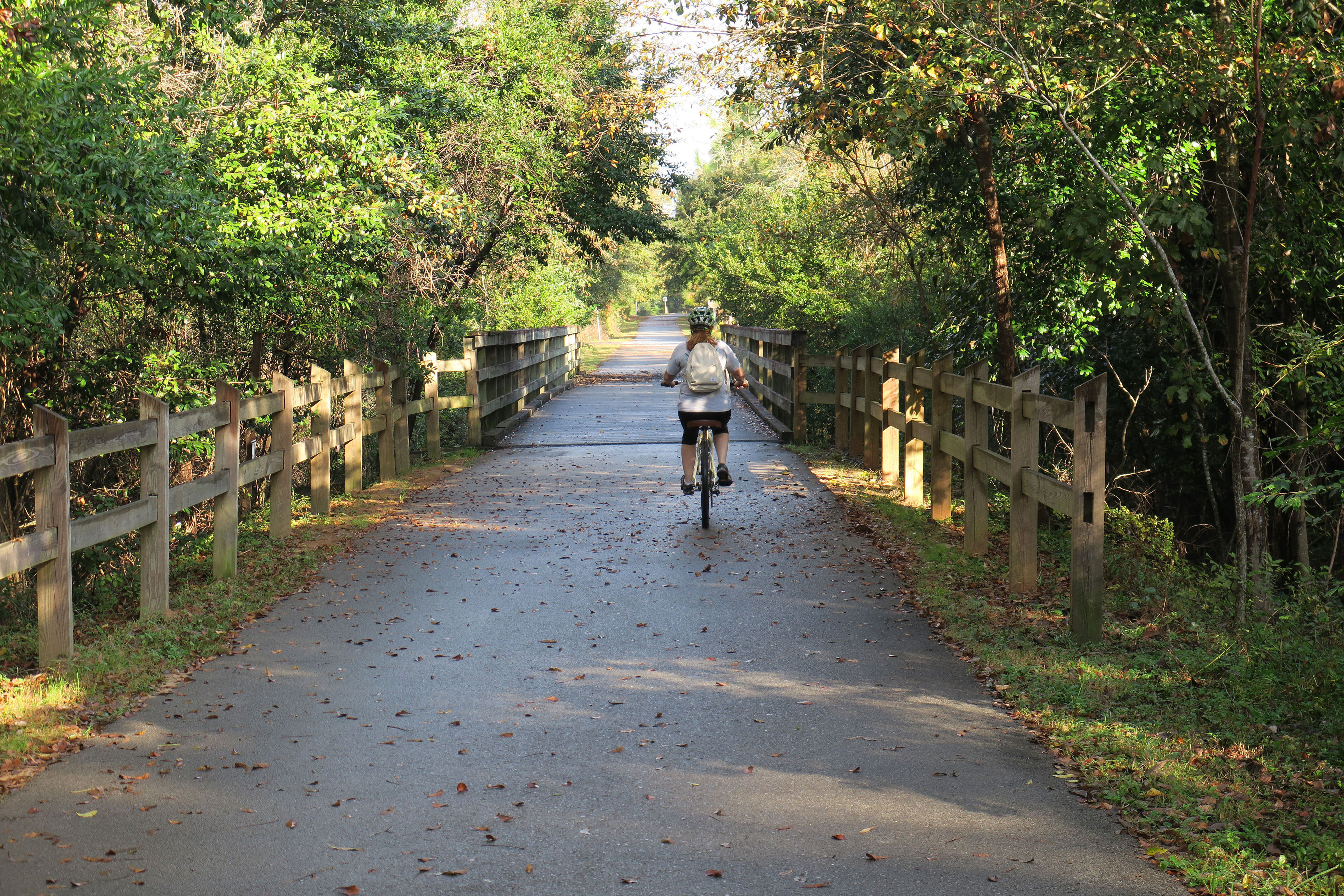 Rider on Blackwater Heritage State Trail. Photo by Doug Alderson.