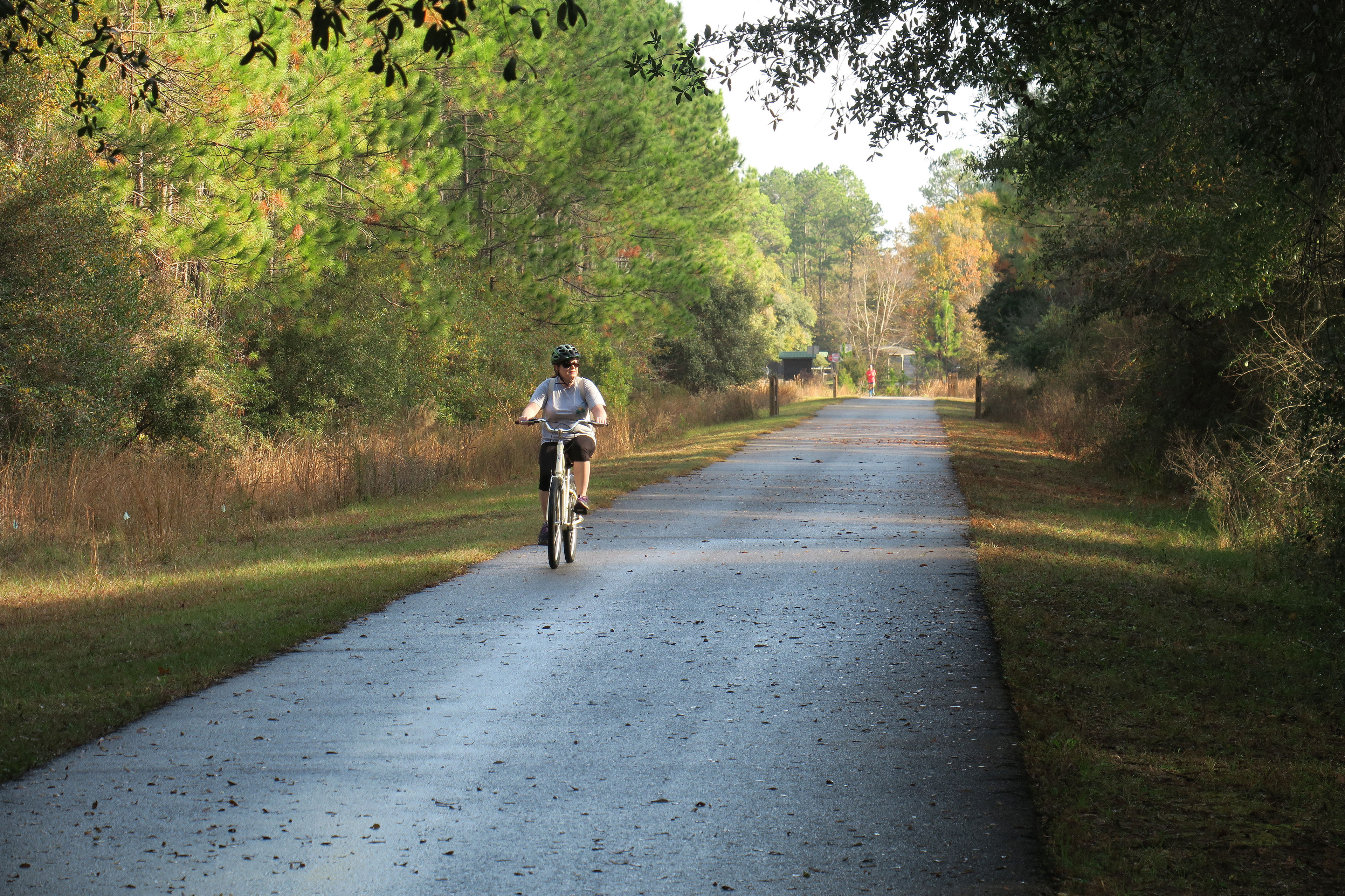 Rider on Blackwater Heritage State Trail. Photo by Doug Alderson.