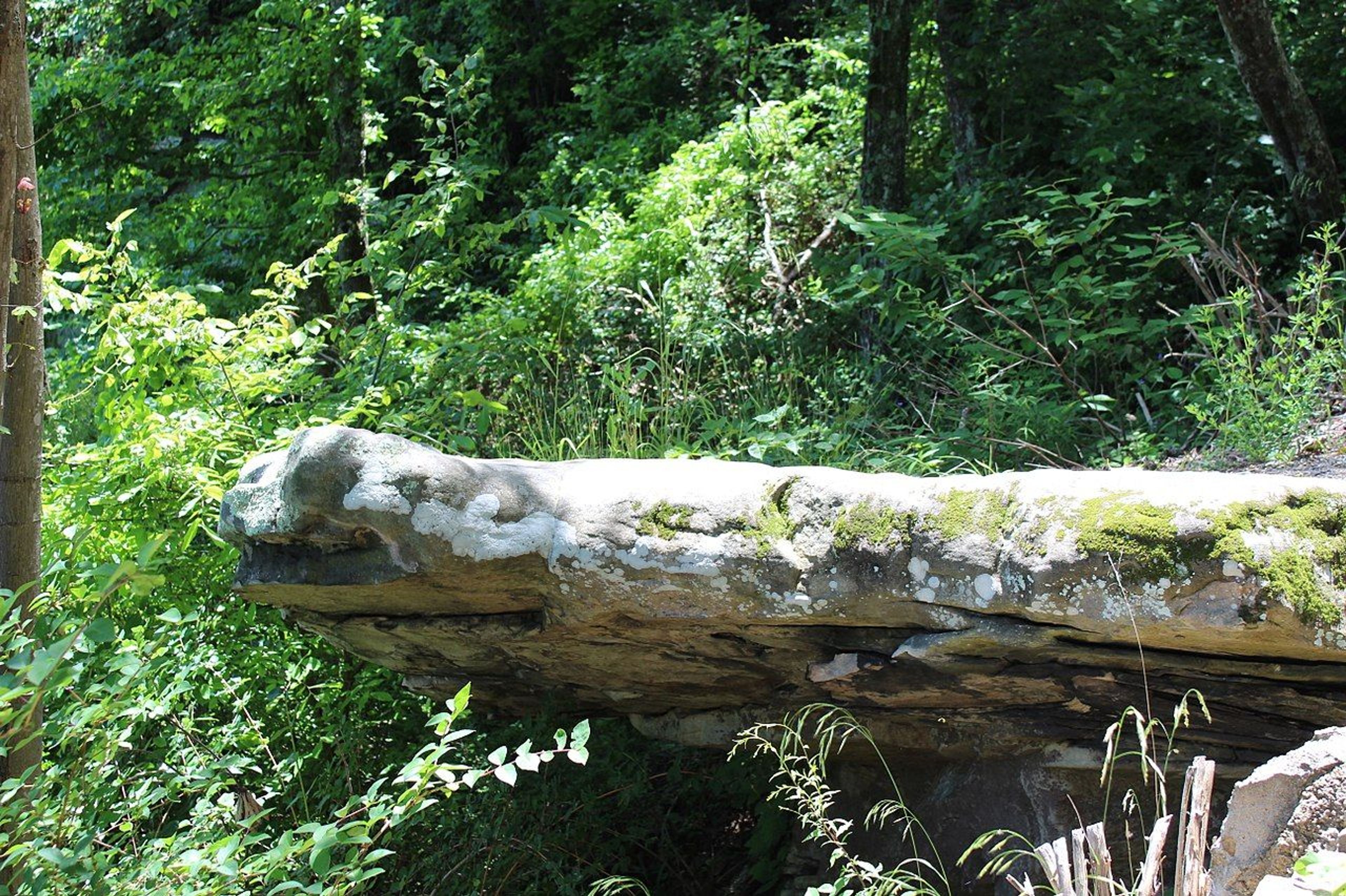 Chickamauga and Chattanooga National Military Park. Photo by Gloria Bell.