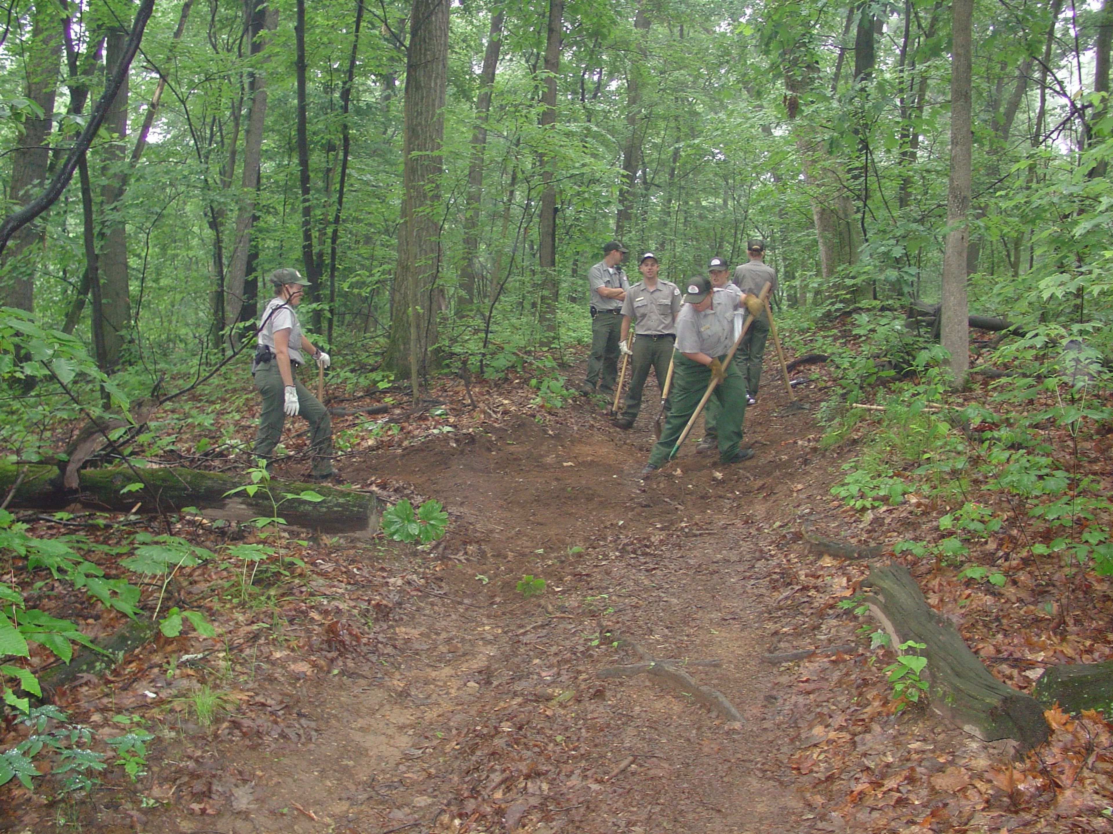 Mountain bike trail.