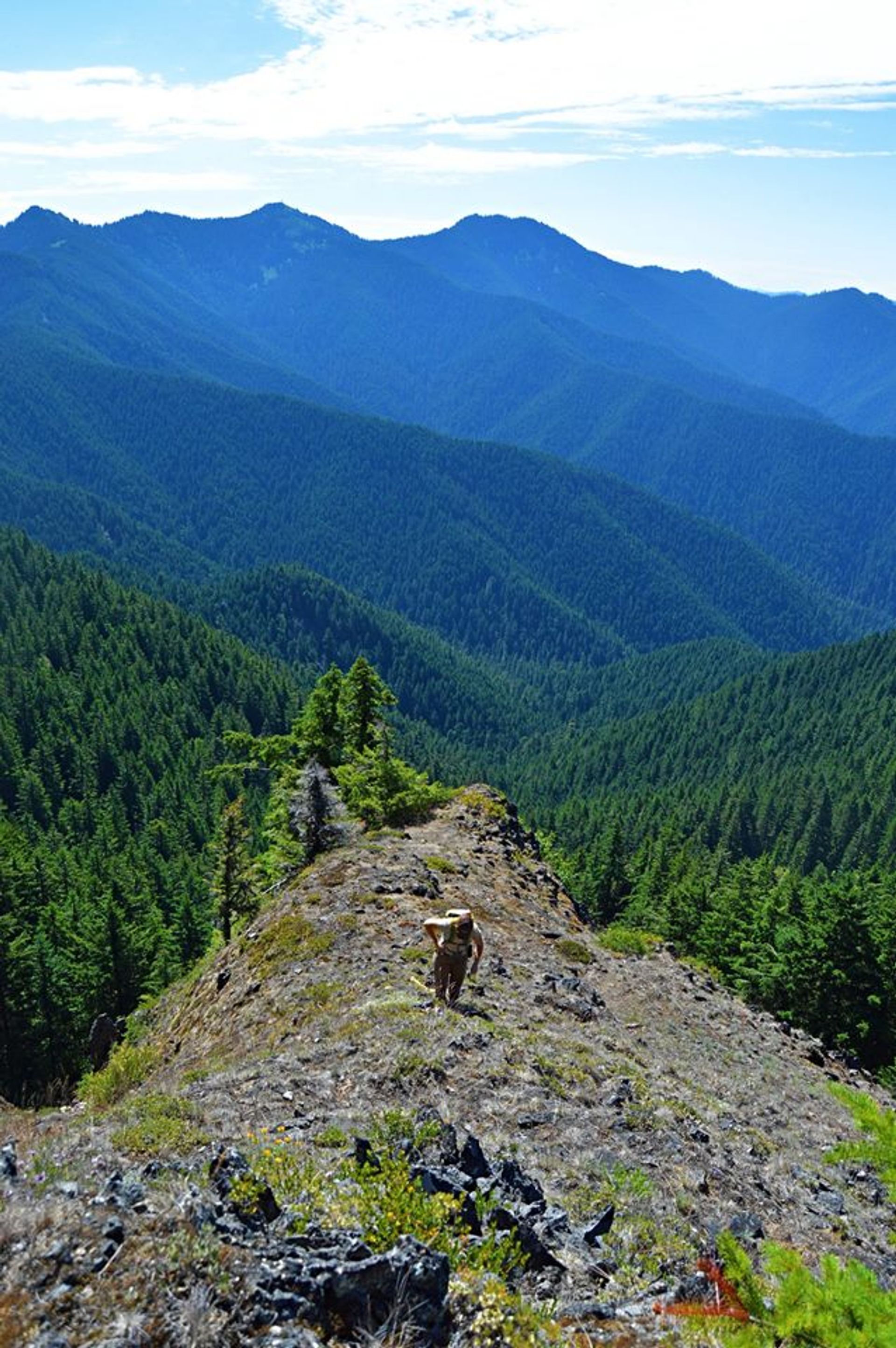 Bohemia Mining area trail. Photo by USFS - Liz Crandall.