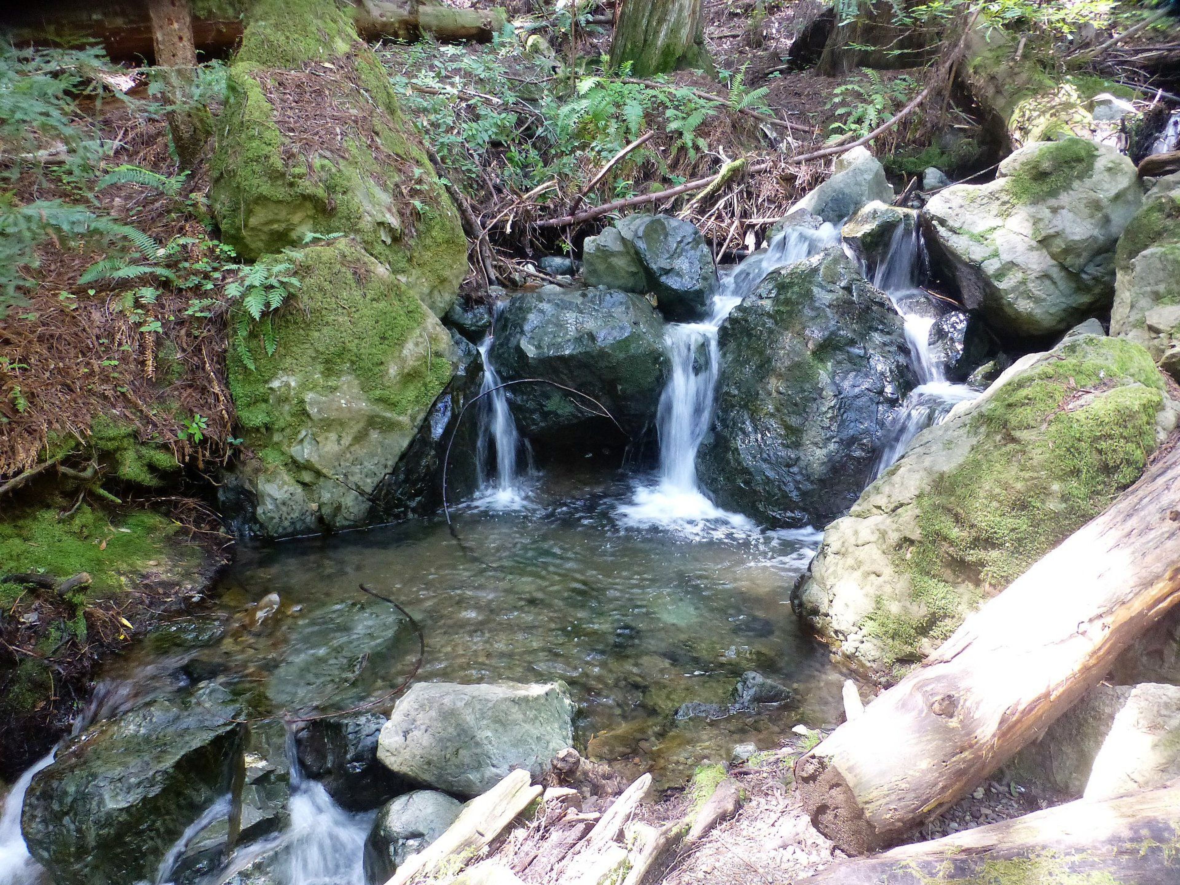 Water cascading into a small pool on the trail. Photo by North Bay Christian Hikers.